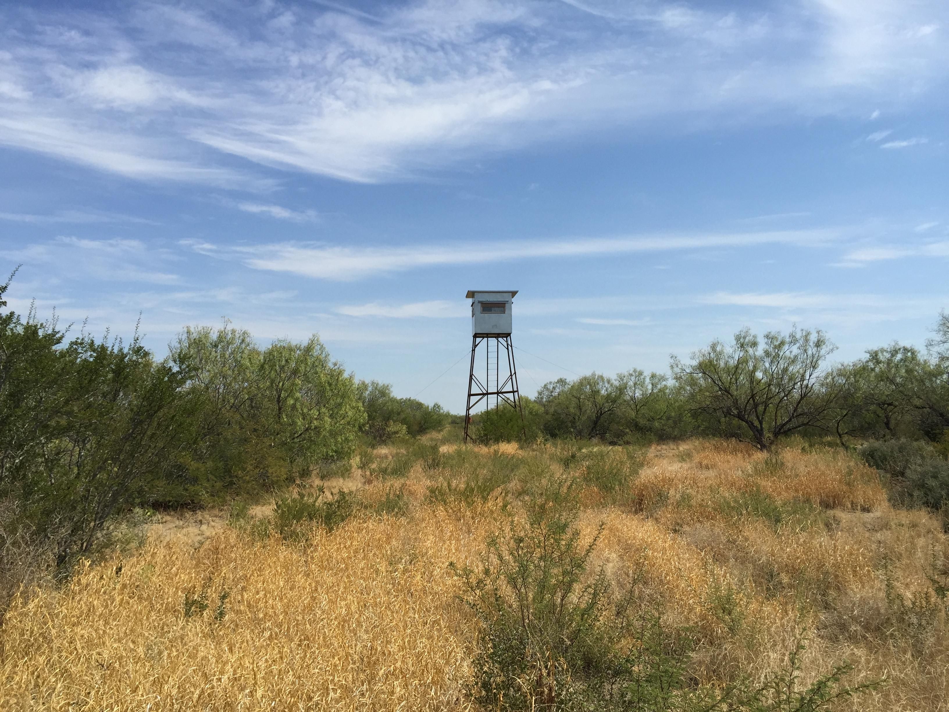 341 acres in Zavala County, Texas