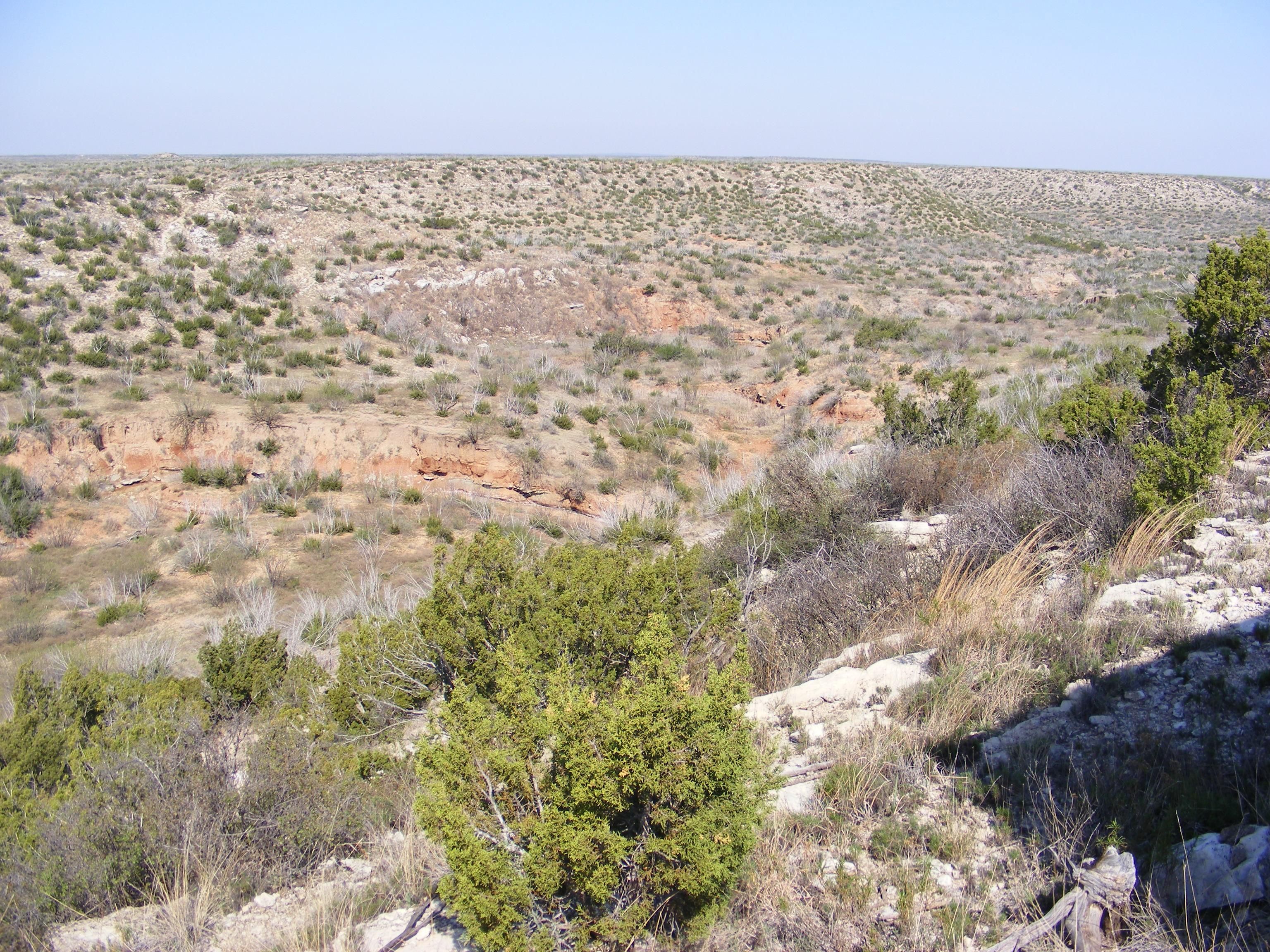 7,300 acres in Aspermont, TX, 79502