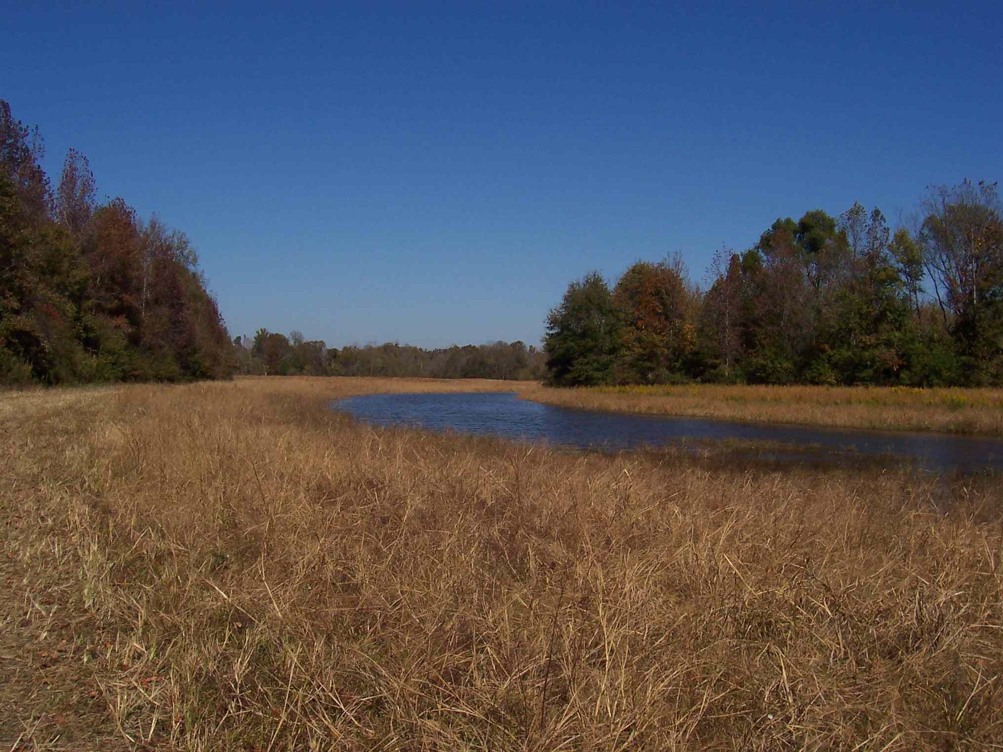 137 acres in Limestone County, Alabama