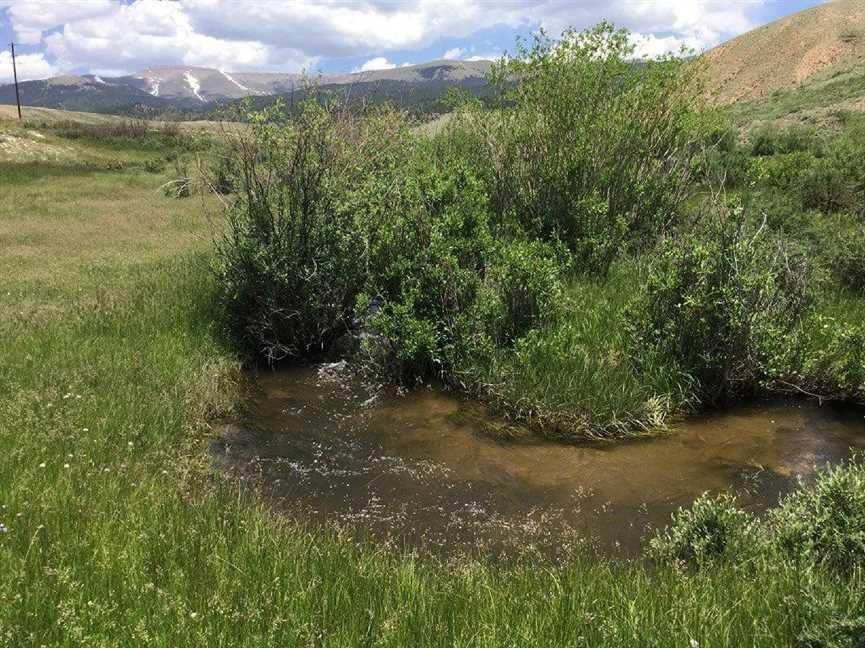 75 acres in Lake County, Colorado