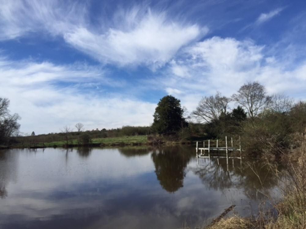 146 acres in Marshall County, Alabama