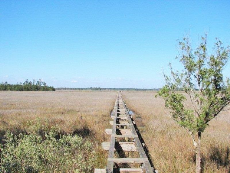 0 Harris Neck Road, Townsend, GA 31331