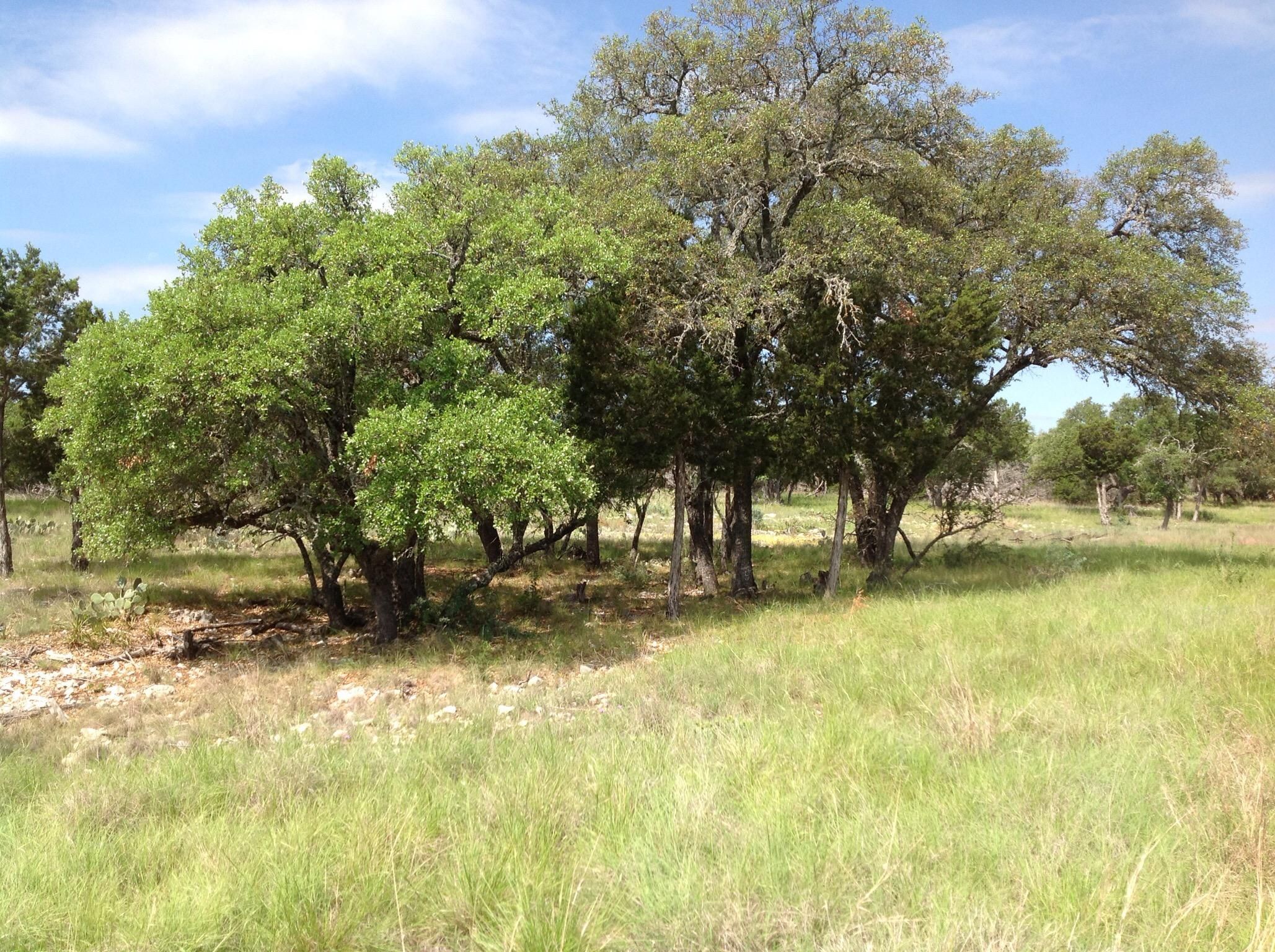 100 acres in Kimble County, Texas