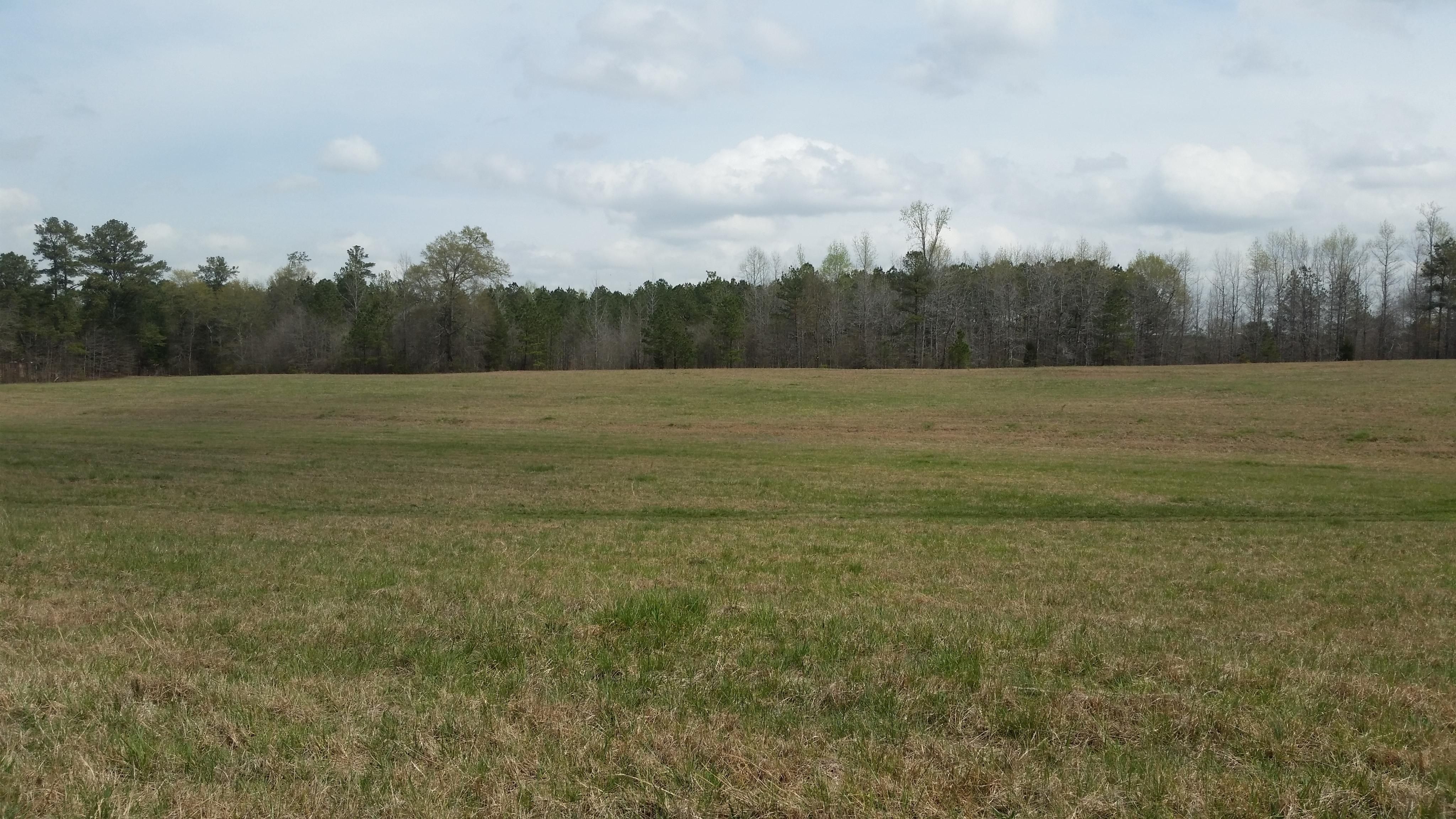 185 acres in Coweta County,
