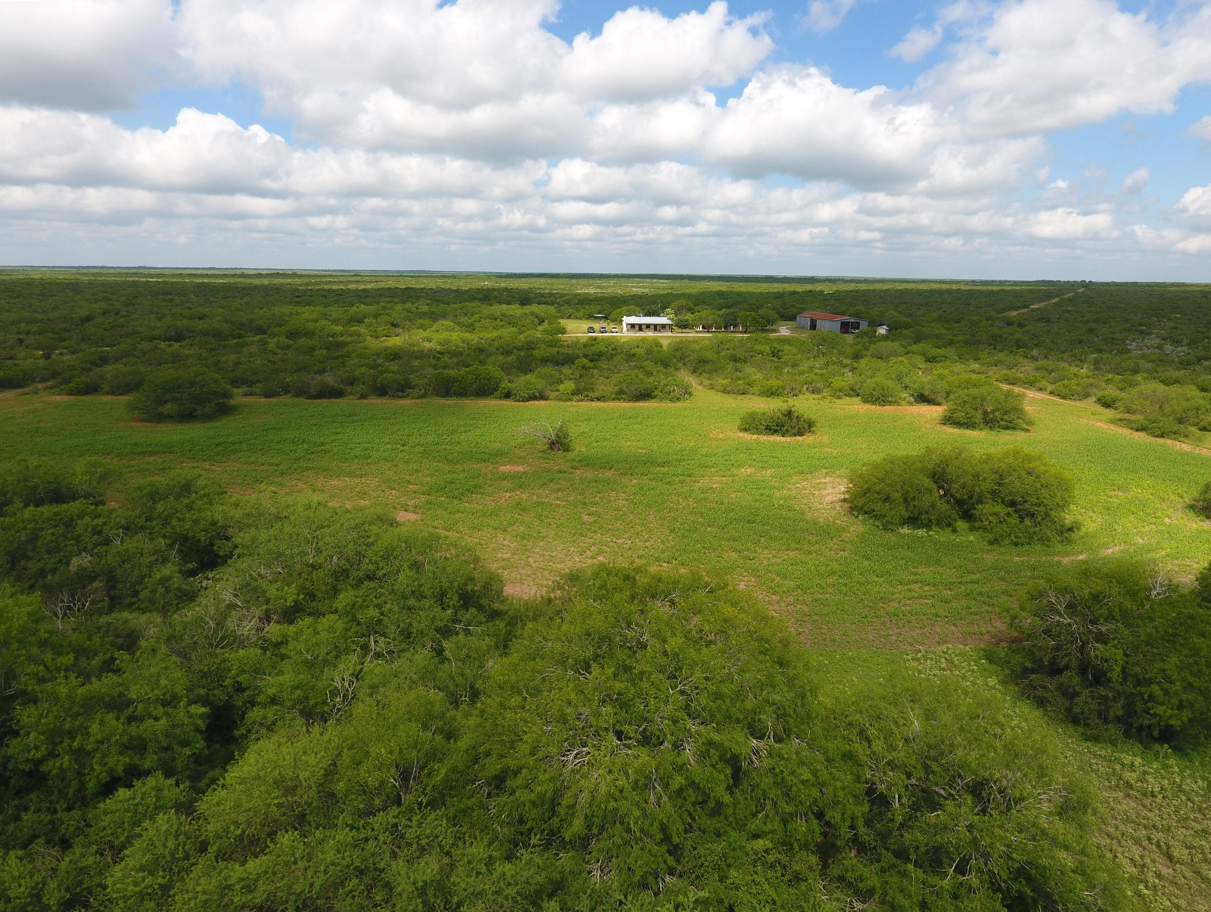 Hwy. 359, Benavides, TX 78341