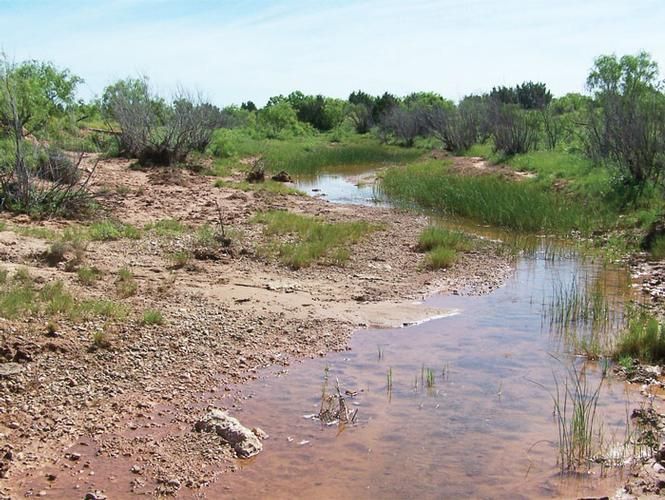 15,920.5 acres in Borden County, Texas