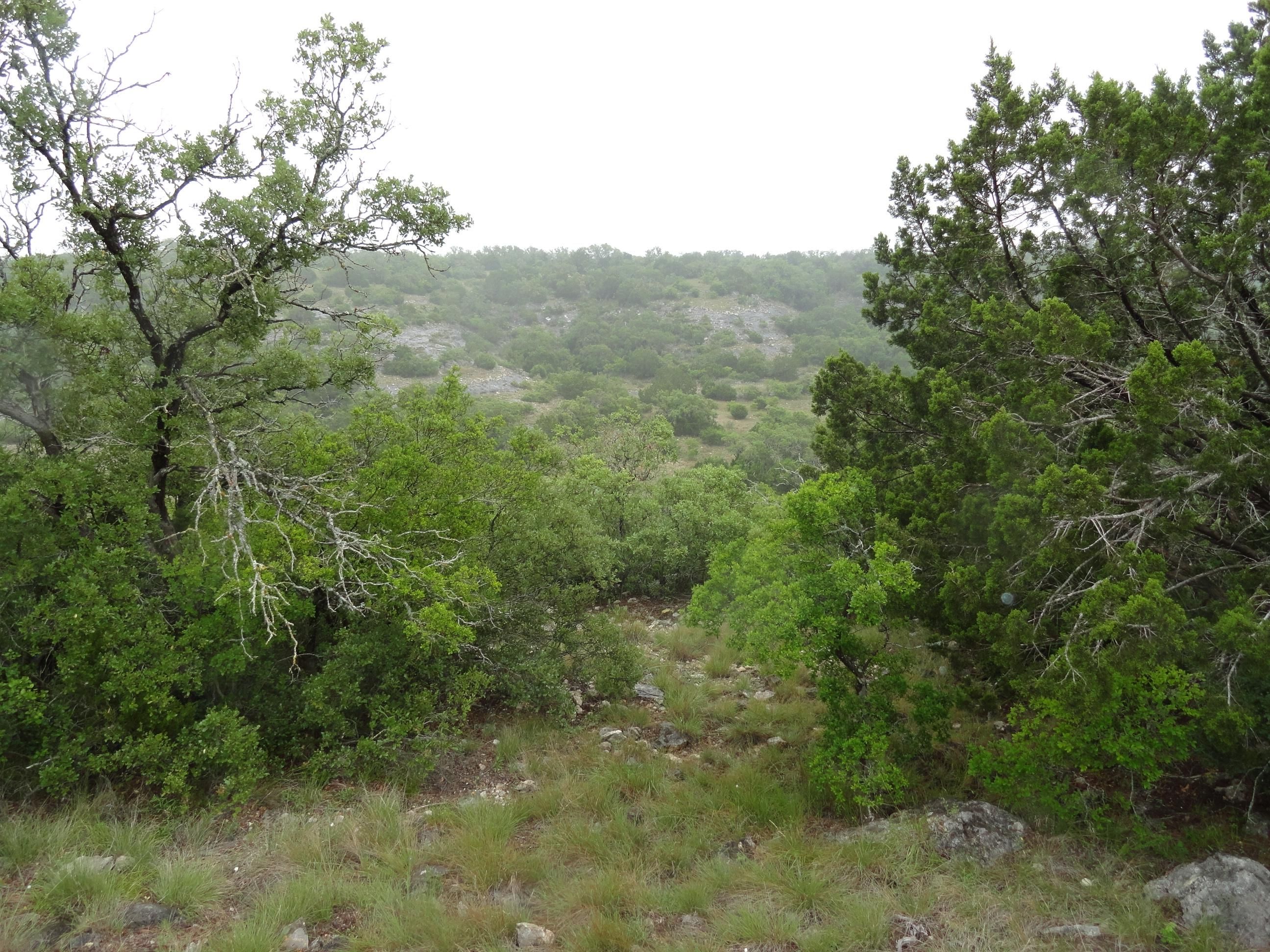 138 acres in Edwards County, Texas