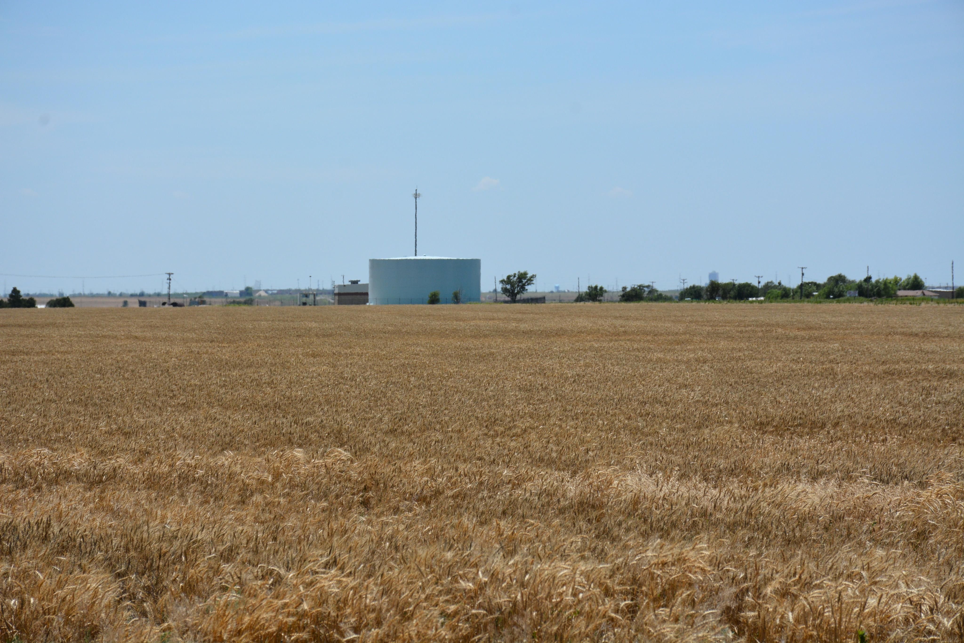 85 acres in Potter County, Texas