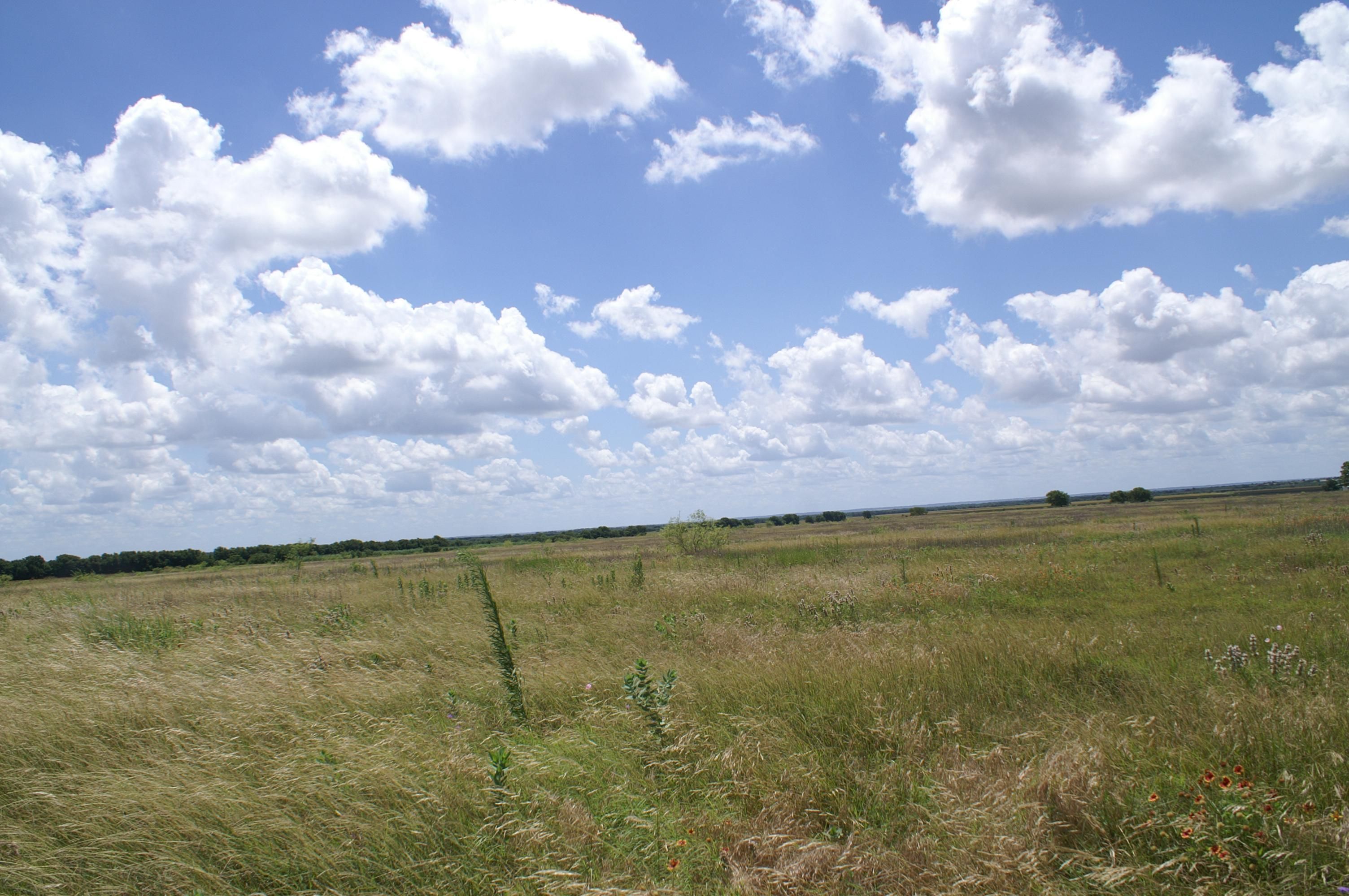 246.31 acres in Falls County, Texas