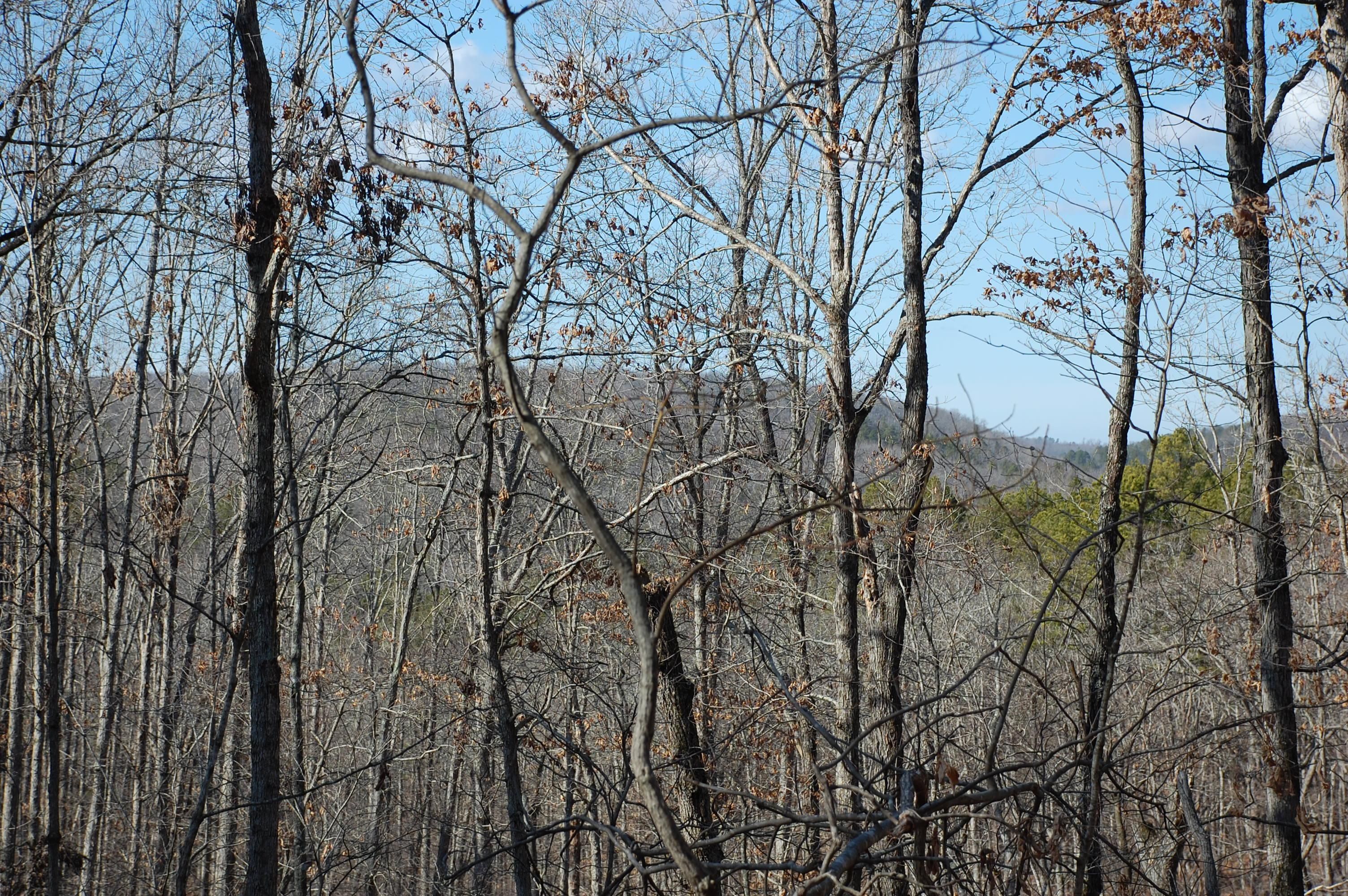 123 acres in Howell County, Missouri