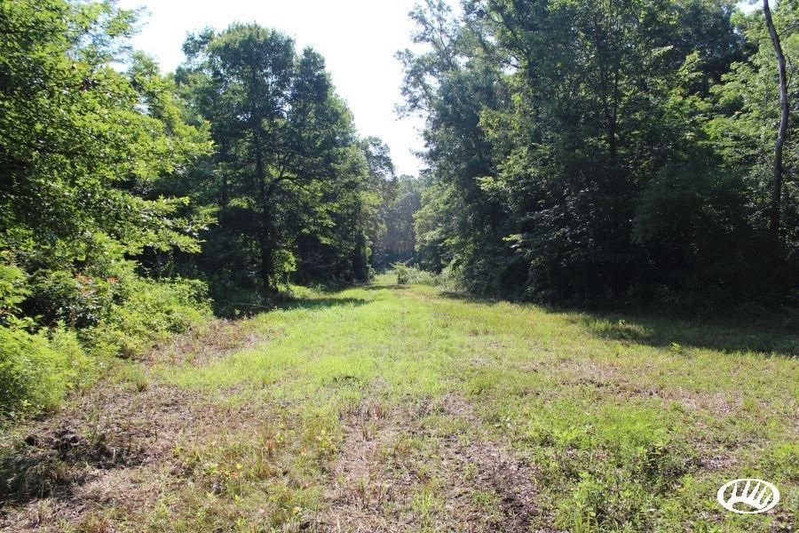 264 acres in Sharkey County, Mississippi