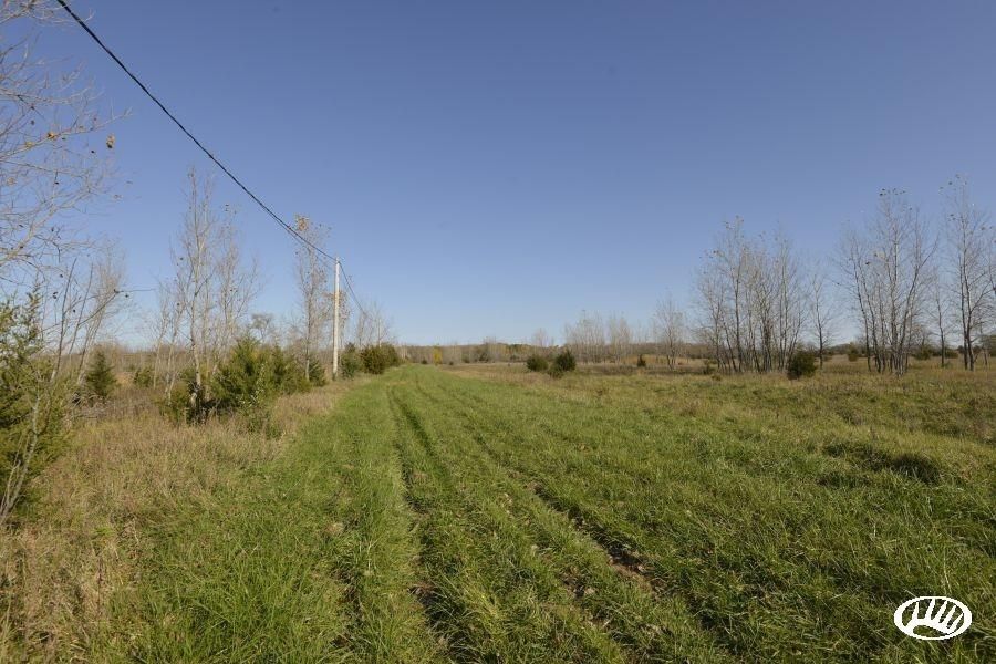 50 acres in Fulton County, Illinois