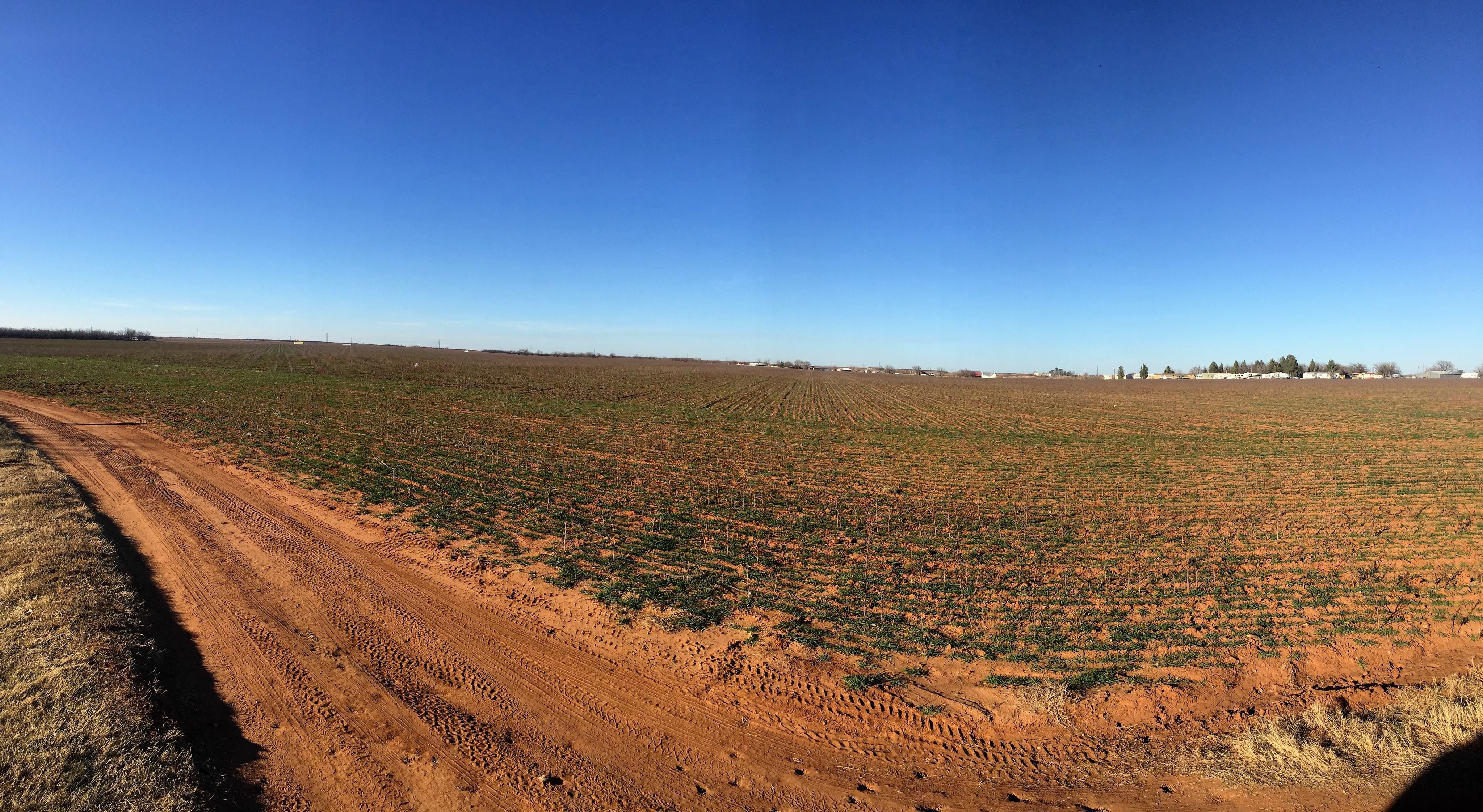 130 acres in Haskell County, Texas