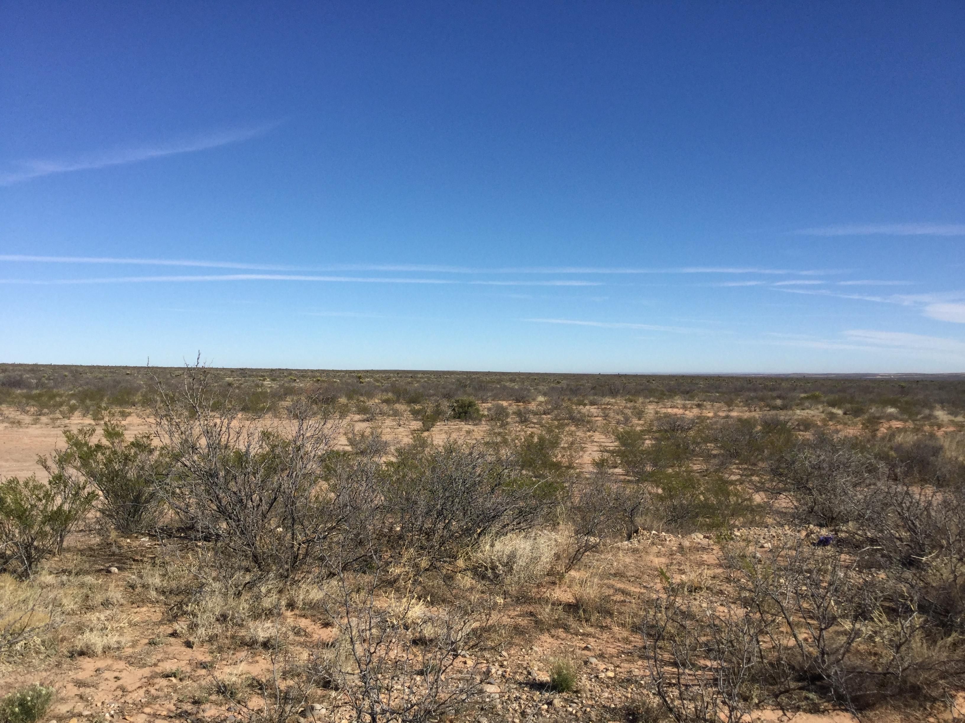 15 acres in Reeves County, Texas