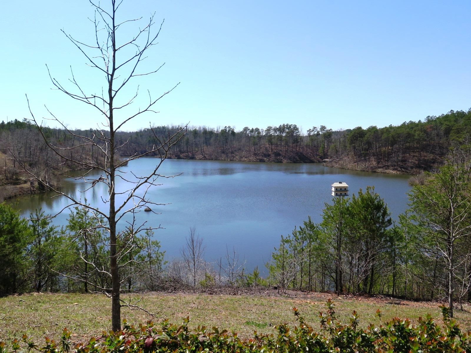 40 acres in Chilton County, Alabama