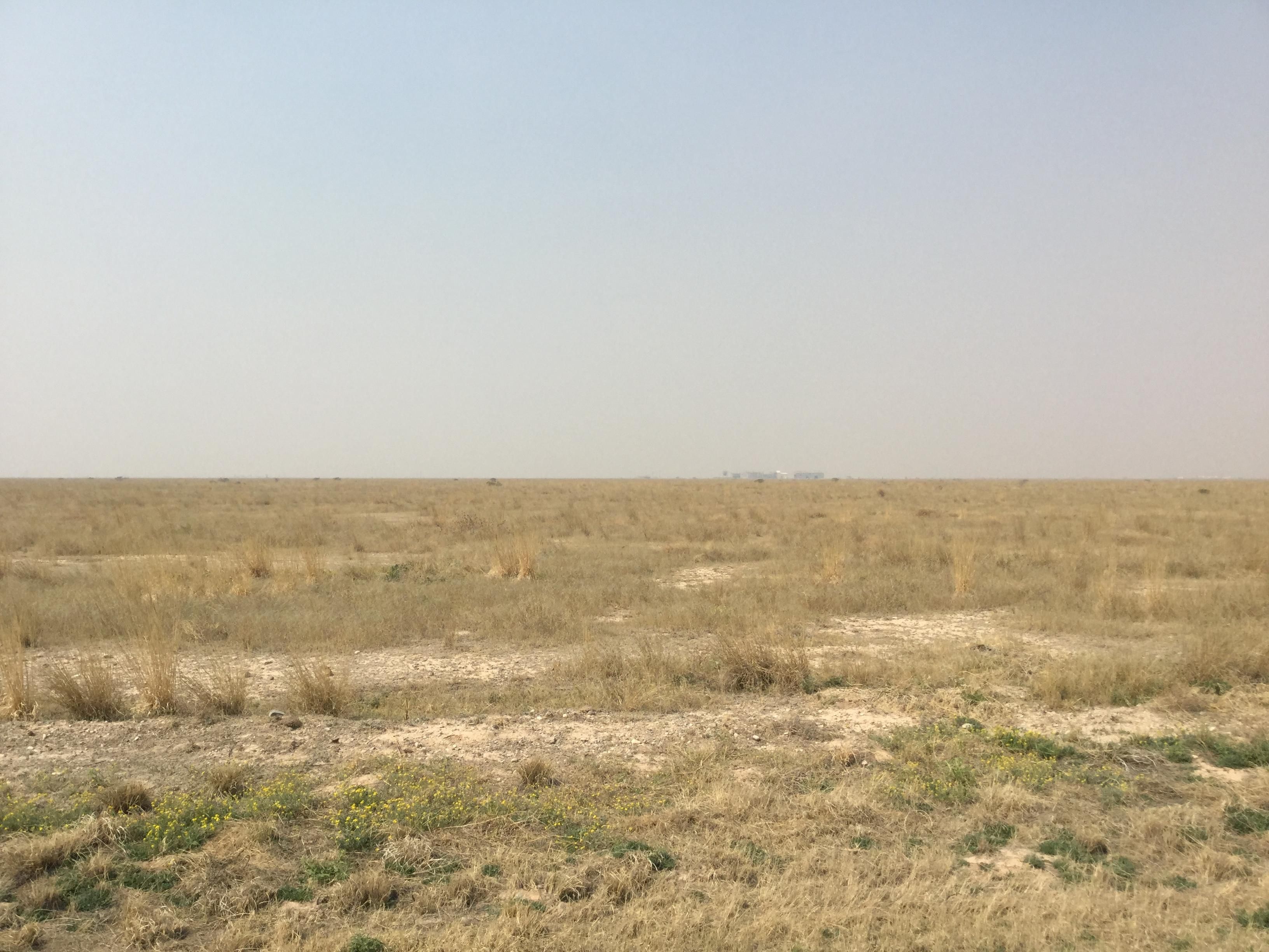 600 acres in Reeves County, Texas