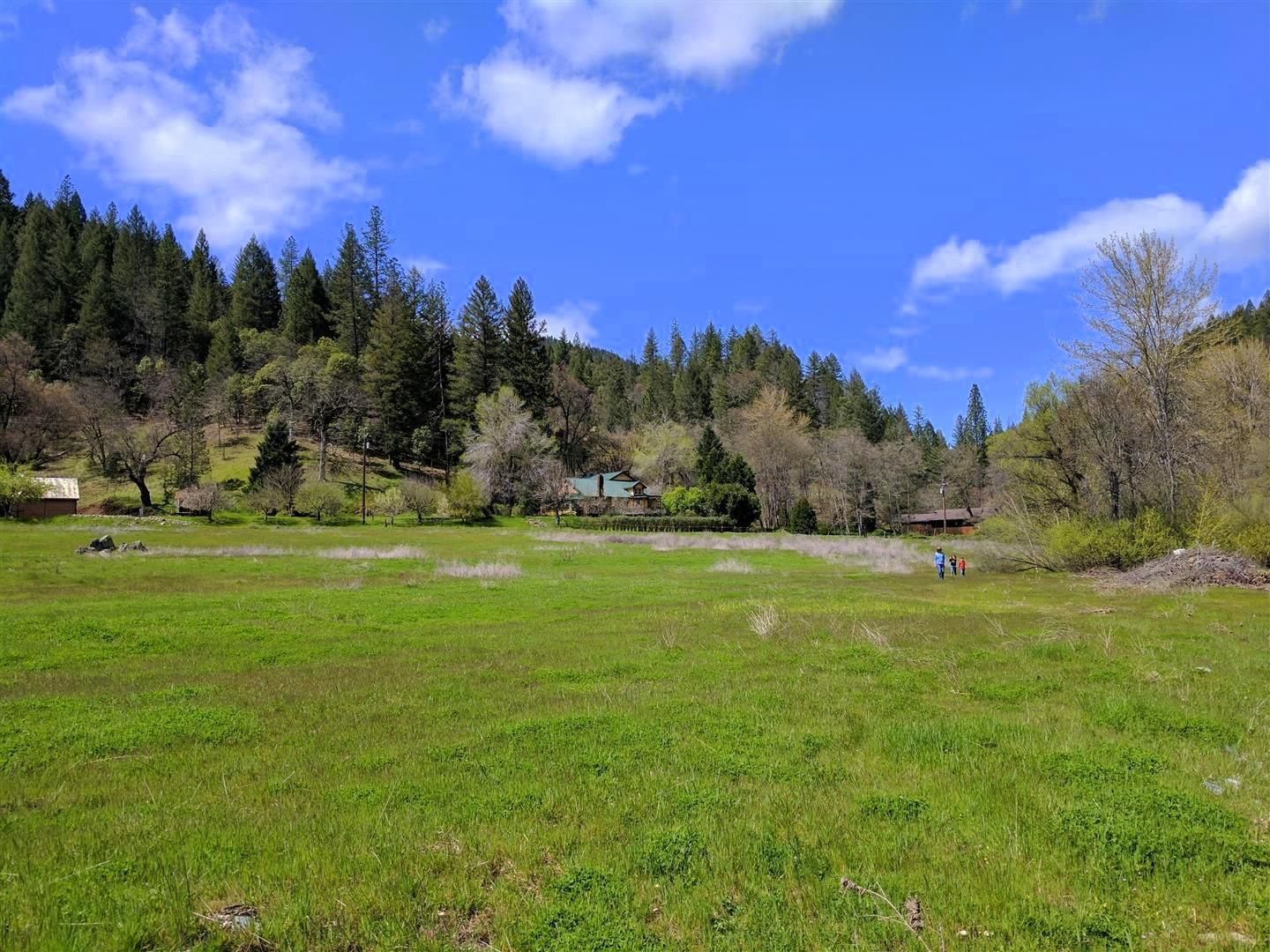 20 acres in Trinity County, California