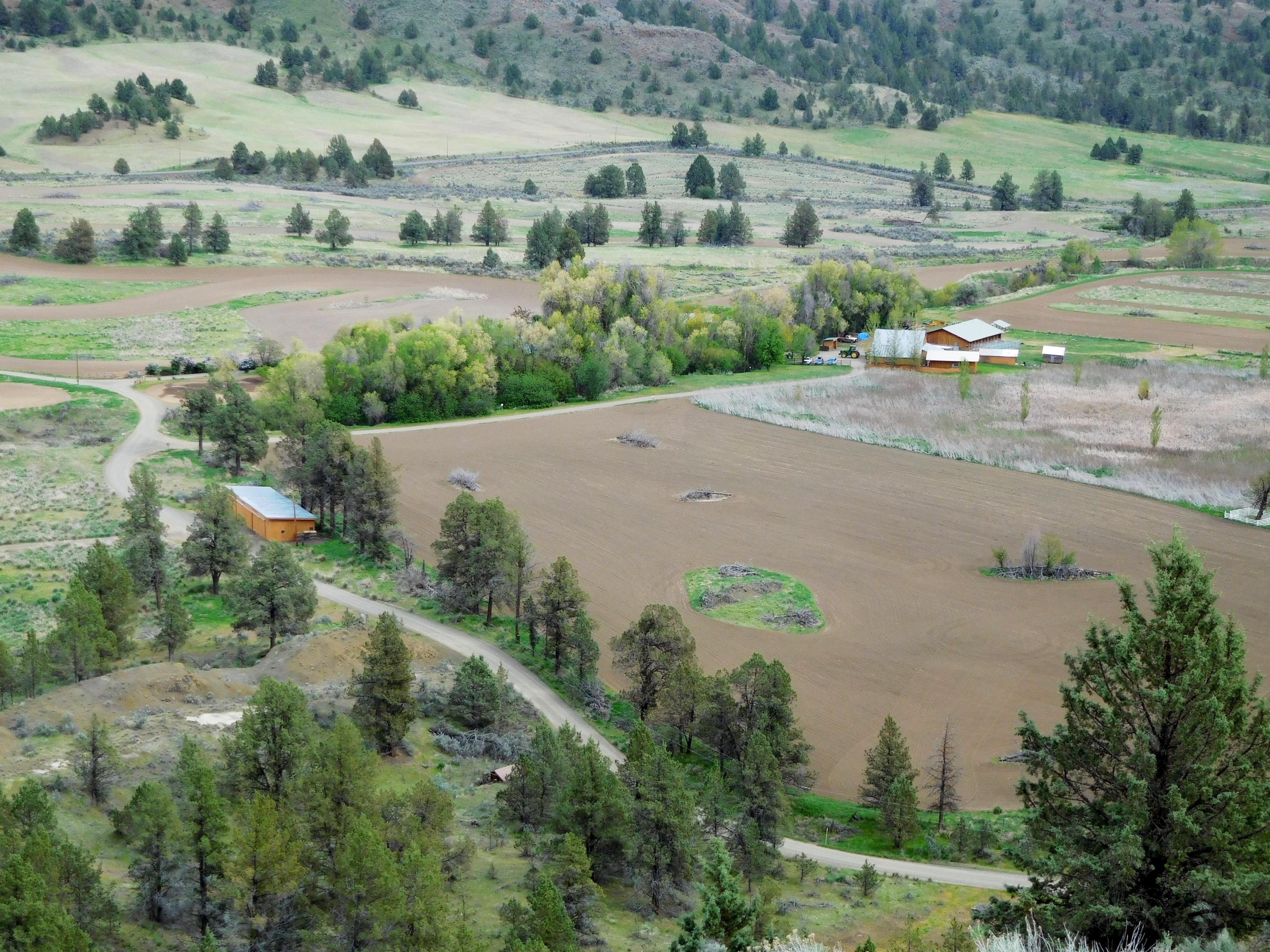 553 acres in Grant County, Oregon