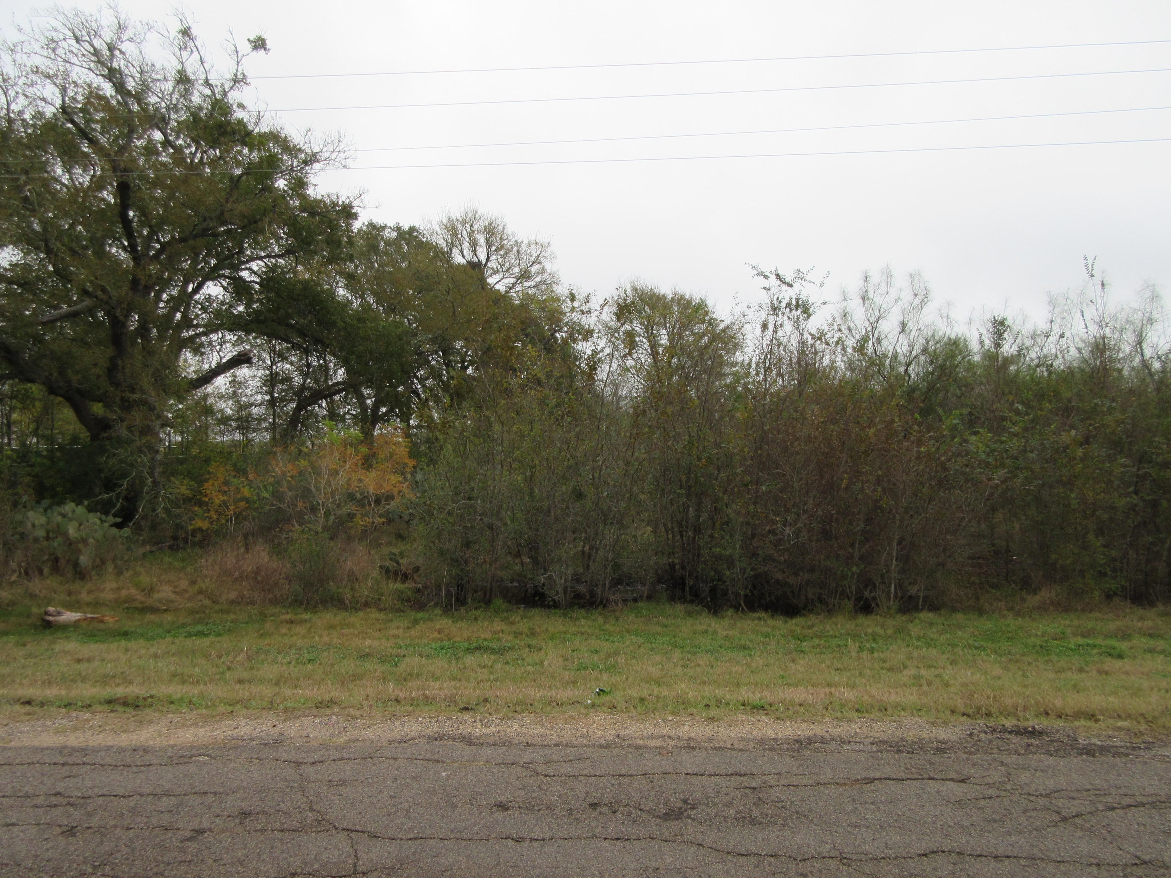 3 acres in Caldwell County, Texas