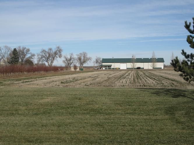 295 acres in Weld County, Colorado