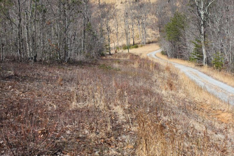 10 acres in Pittsylvania County, Virginia