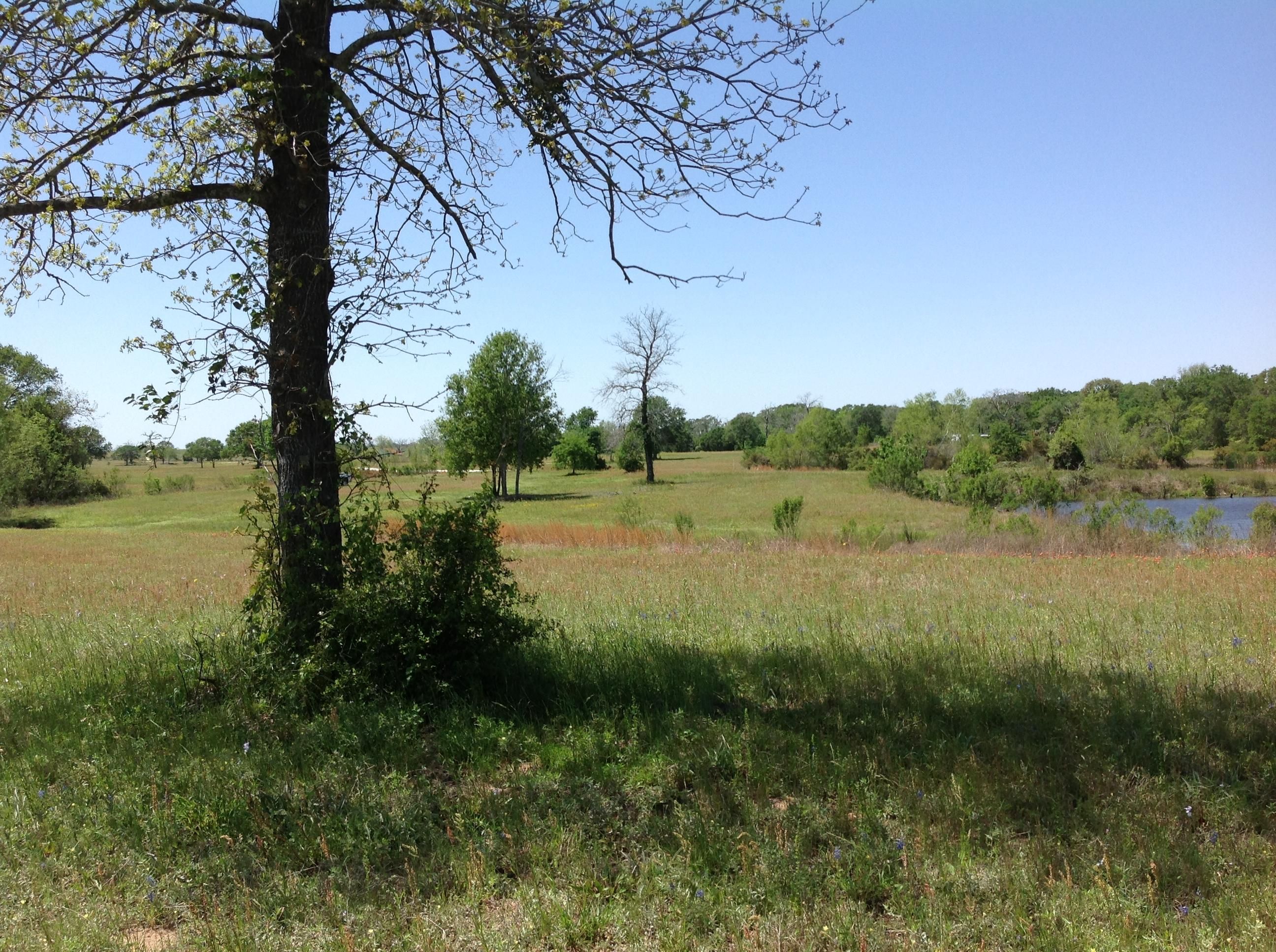 Legacy Lane off of FM 1736, Hempstead, TX 77445