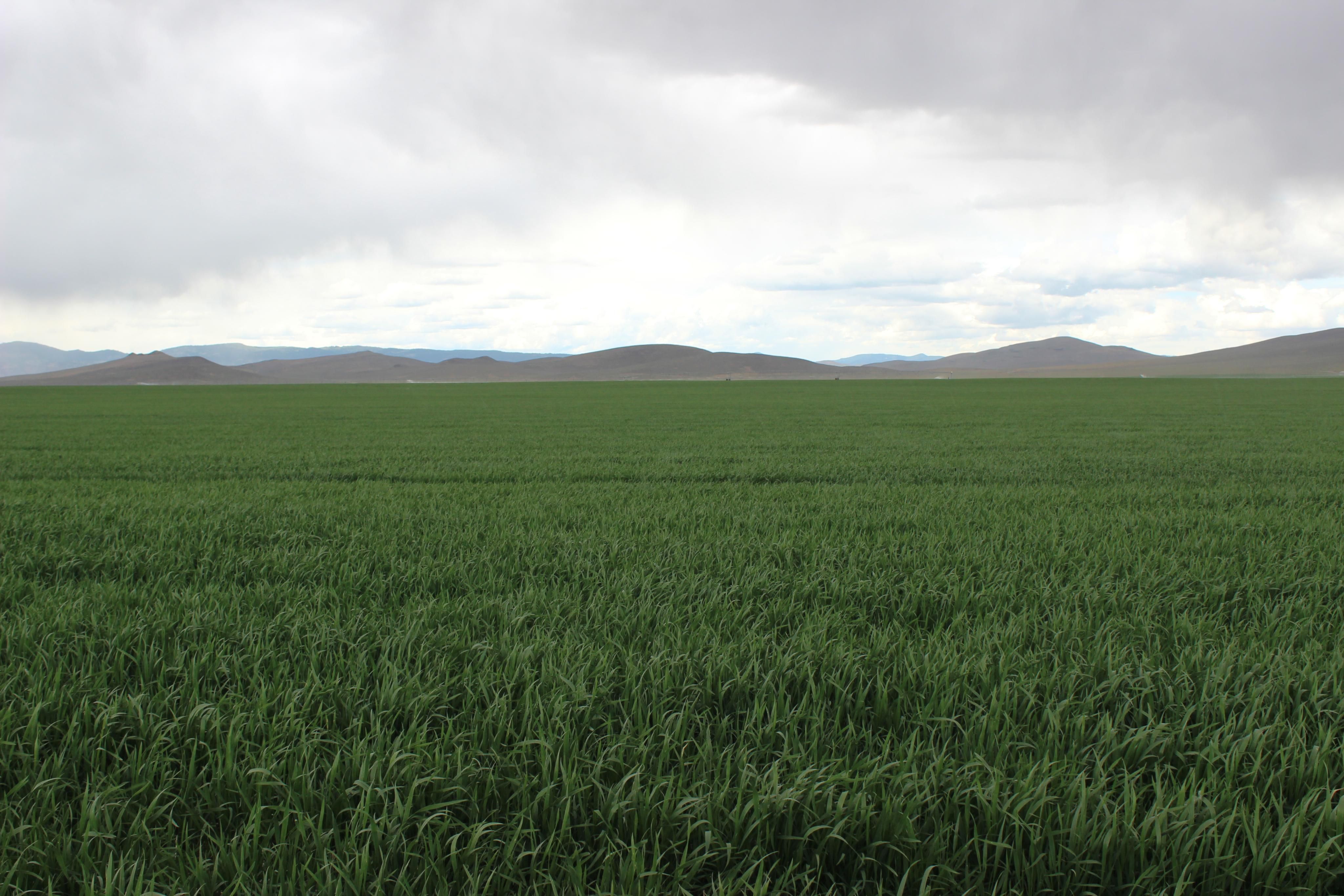 3,326 acres in Malheur County, Oregon