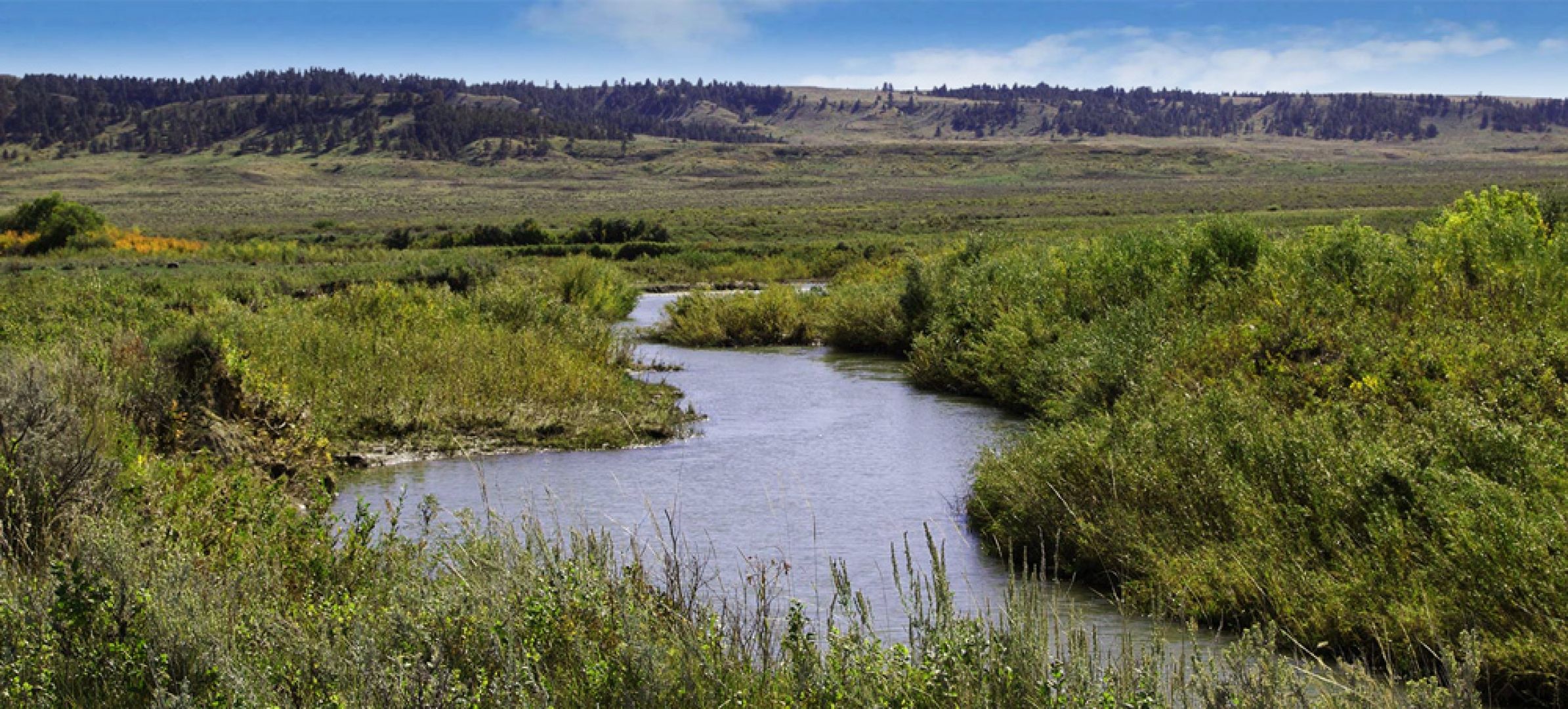 21,080 acres in Petroleum County, Montana