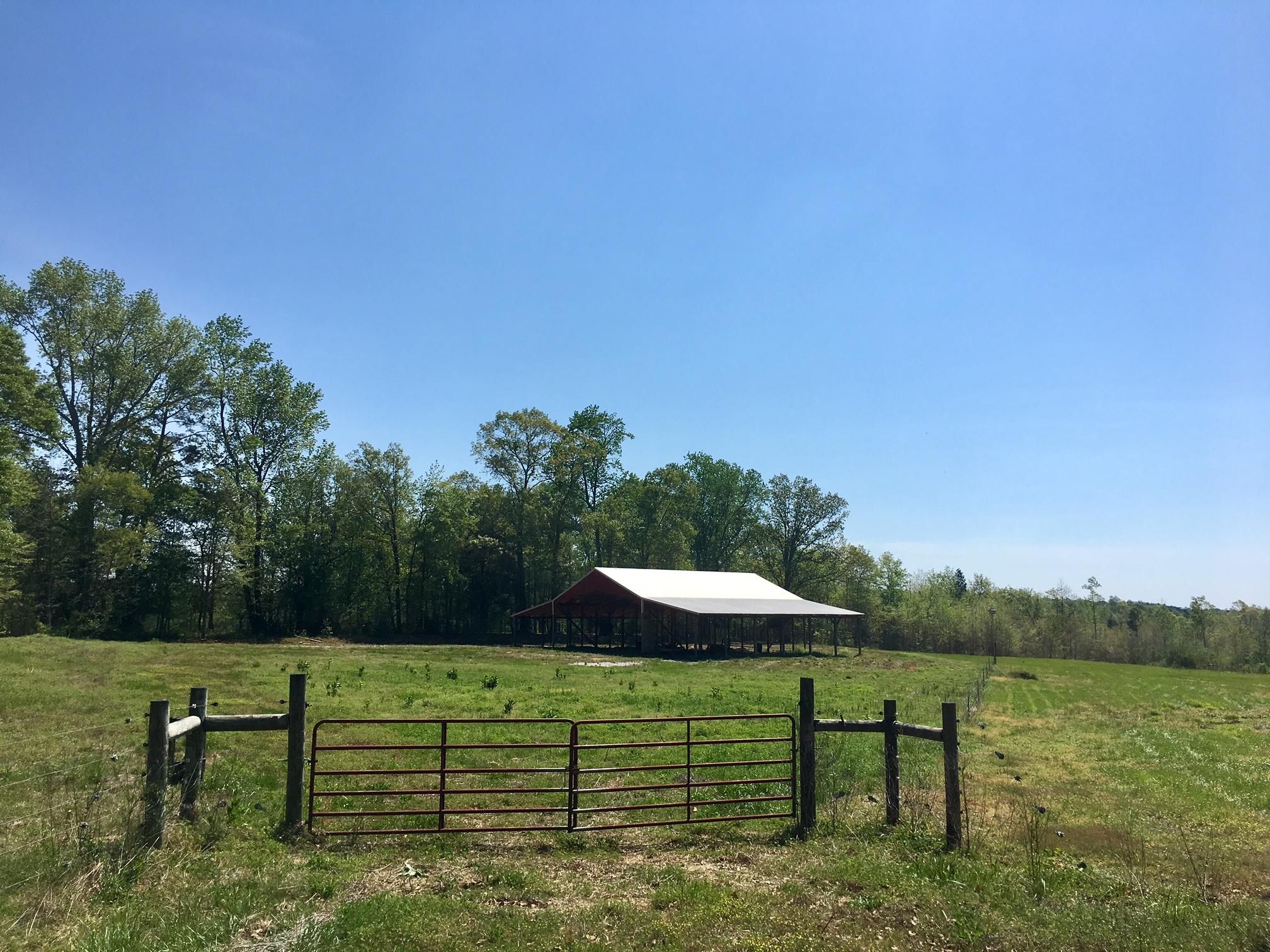 37 acres in Randolph County, Alabama