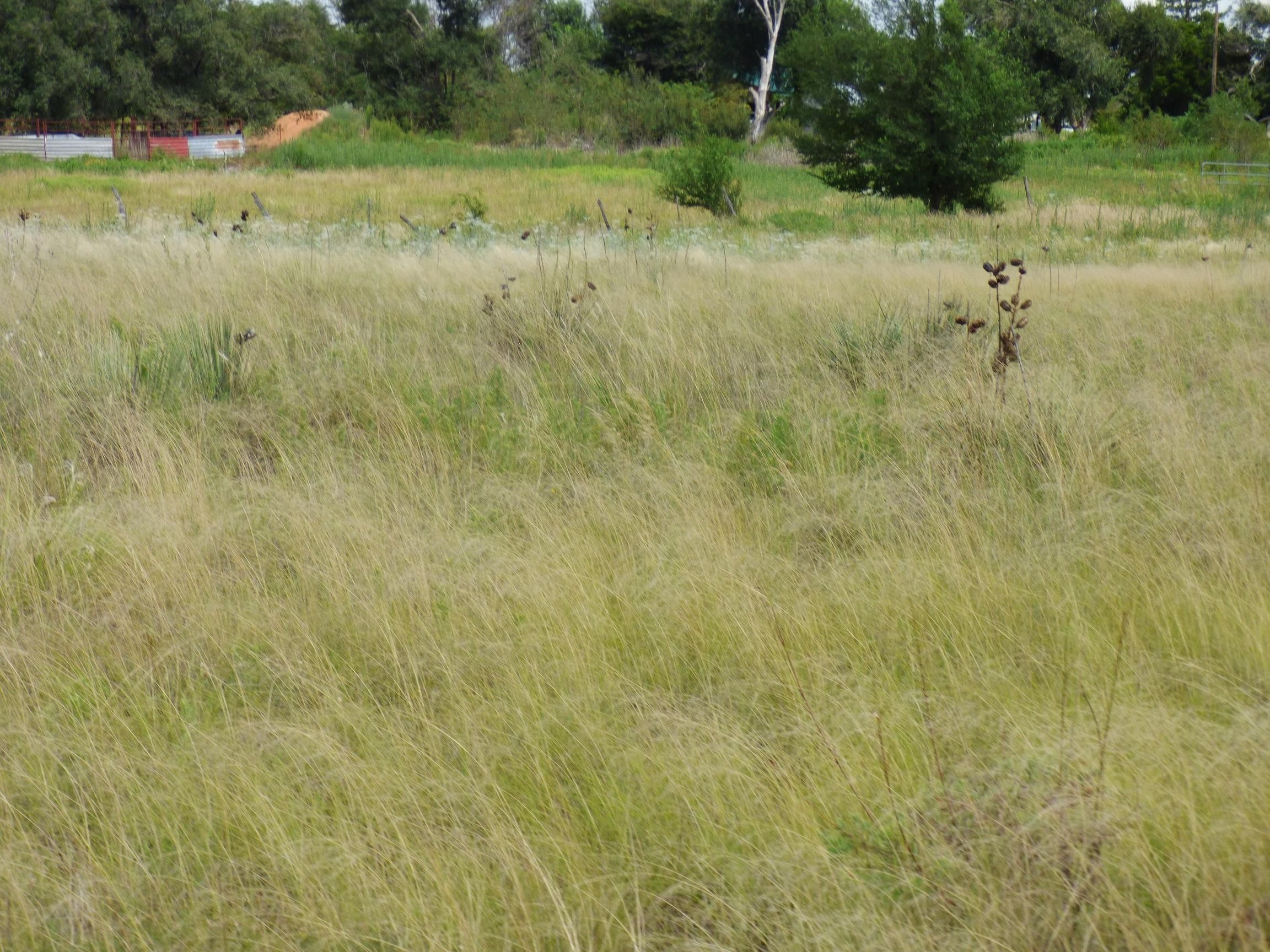 N. Ayers, Clarendon, TX 79226