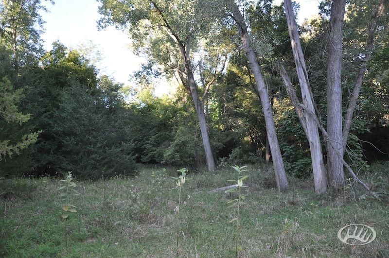 23.7 acres in Sarpy County, Nebraska