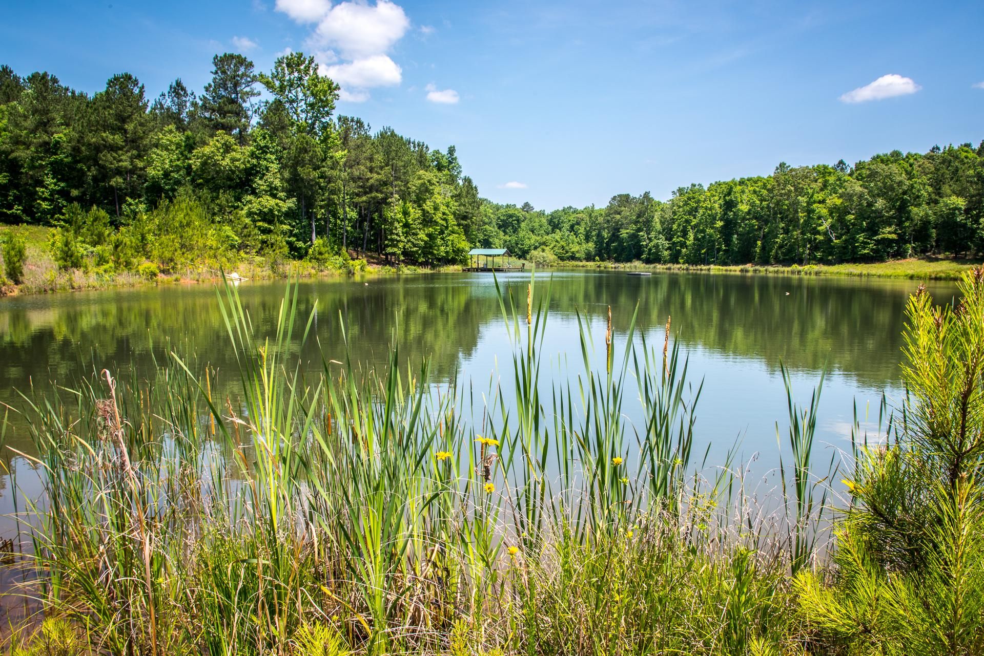 329 acres in Perry County, Alabama