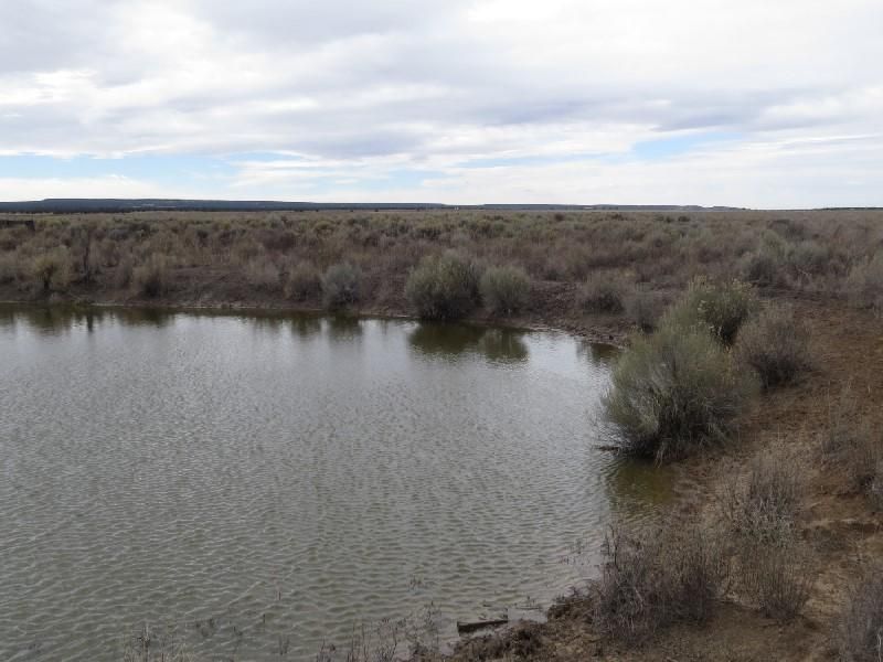 400 acres in Cibola County, New Mexico