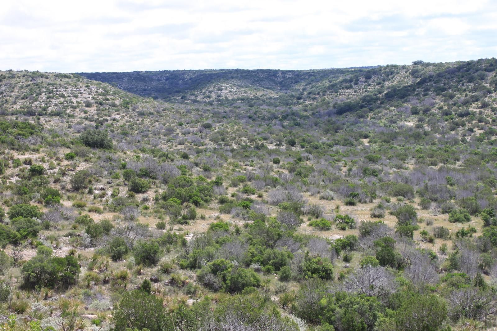 2,150 acres in Val Verde County, Texas