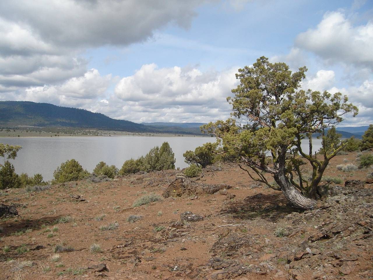 40 acres in Lake County, Oregon