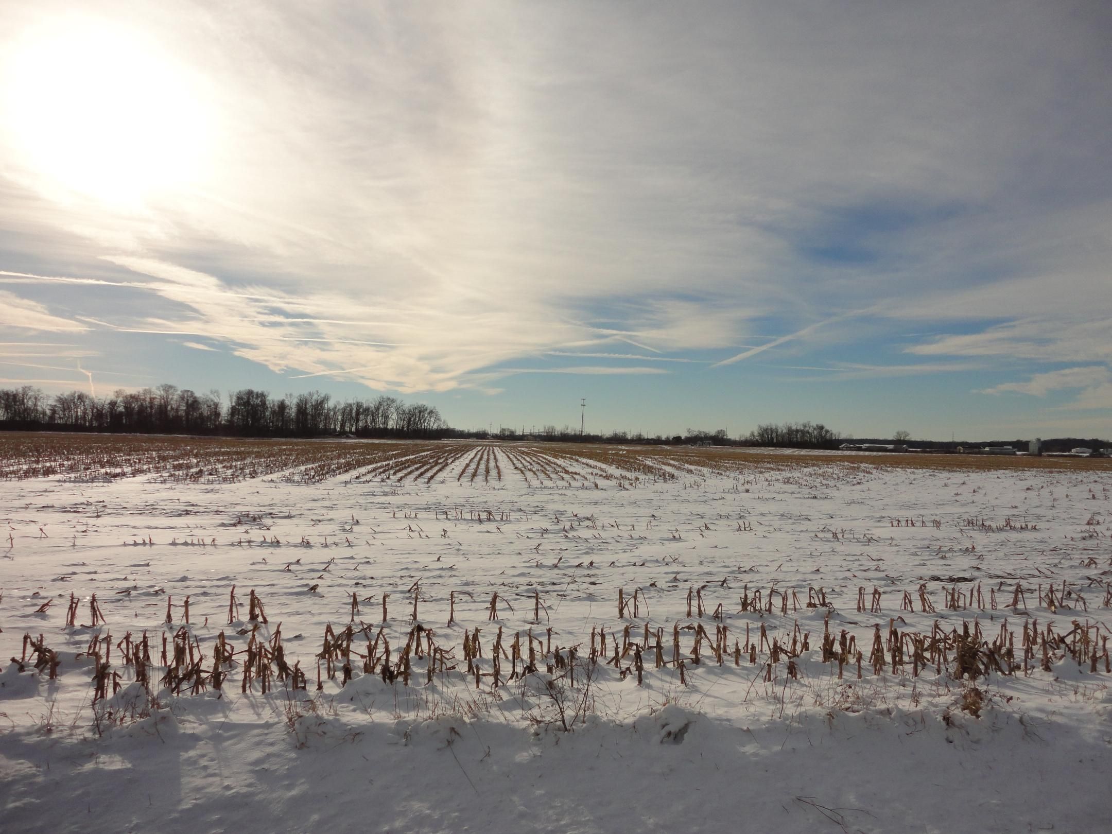 137 acres in Clinton County, Ohio
