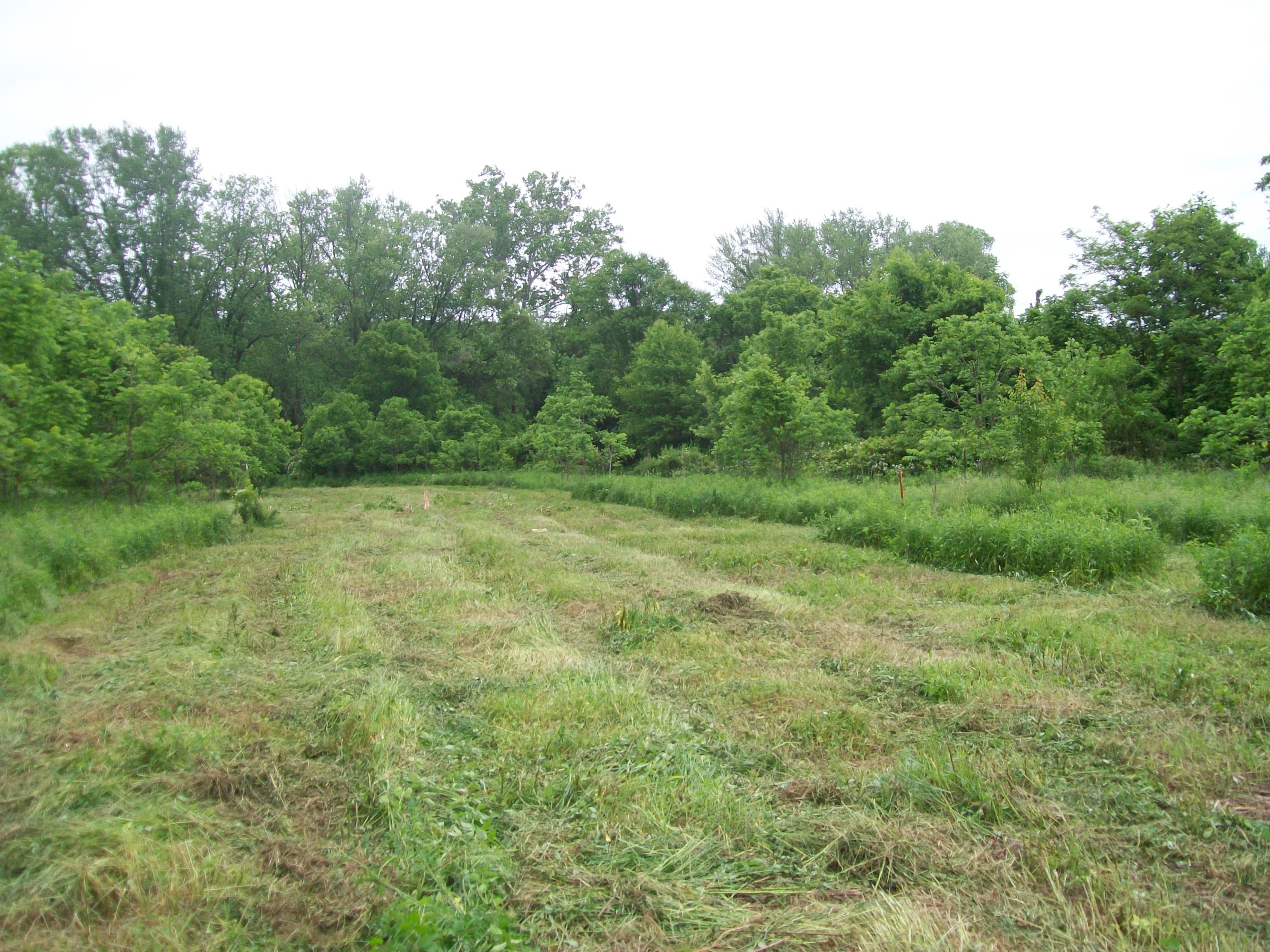 10 acres in Mineral County, West Virginia