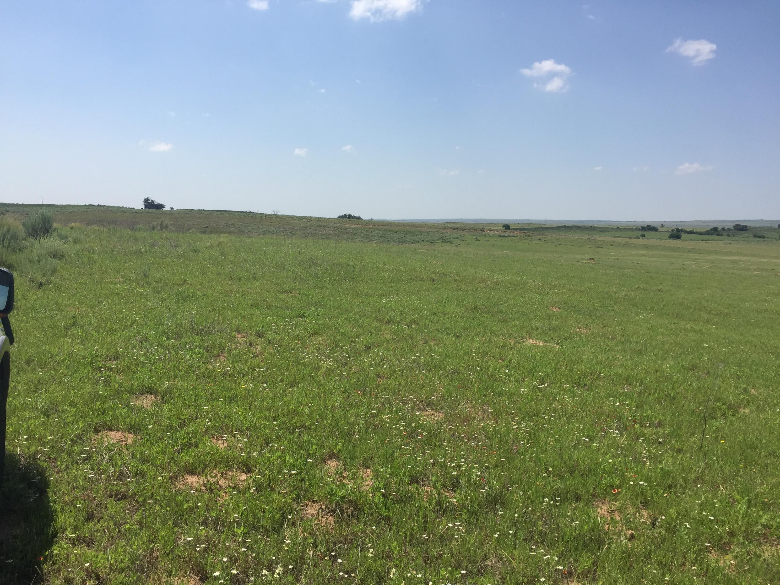 640 acres in Wheeler County, Texas