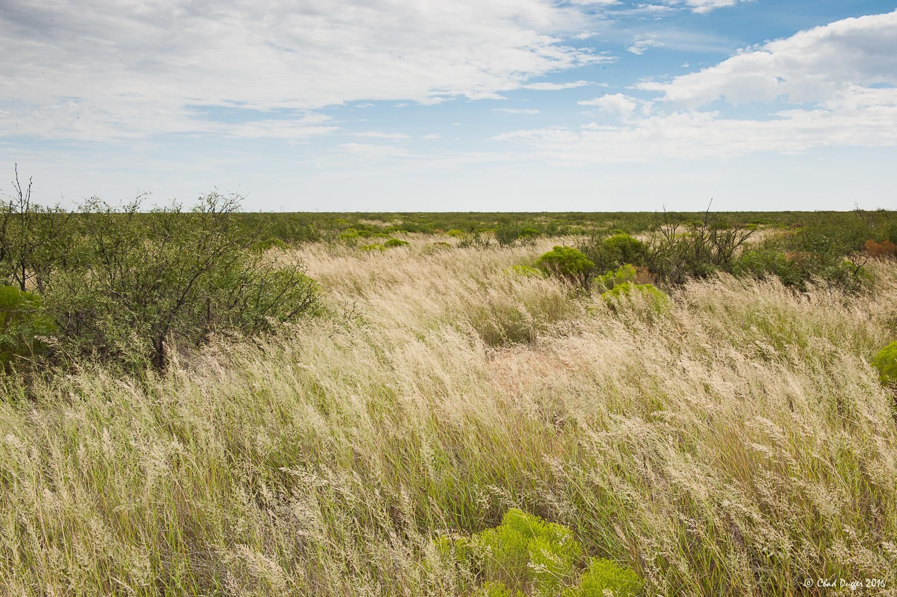 25,784.54 acres in Ector County, Texas
