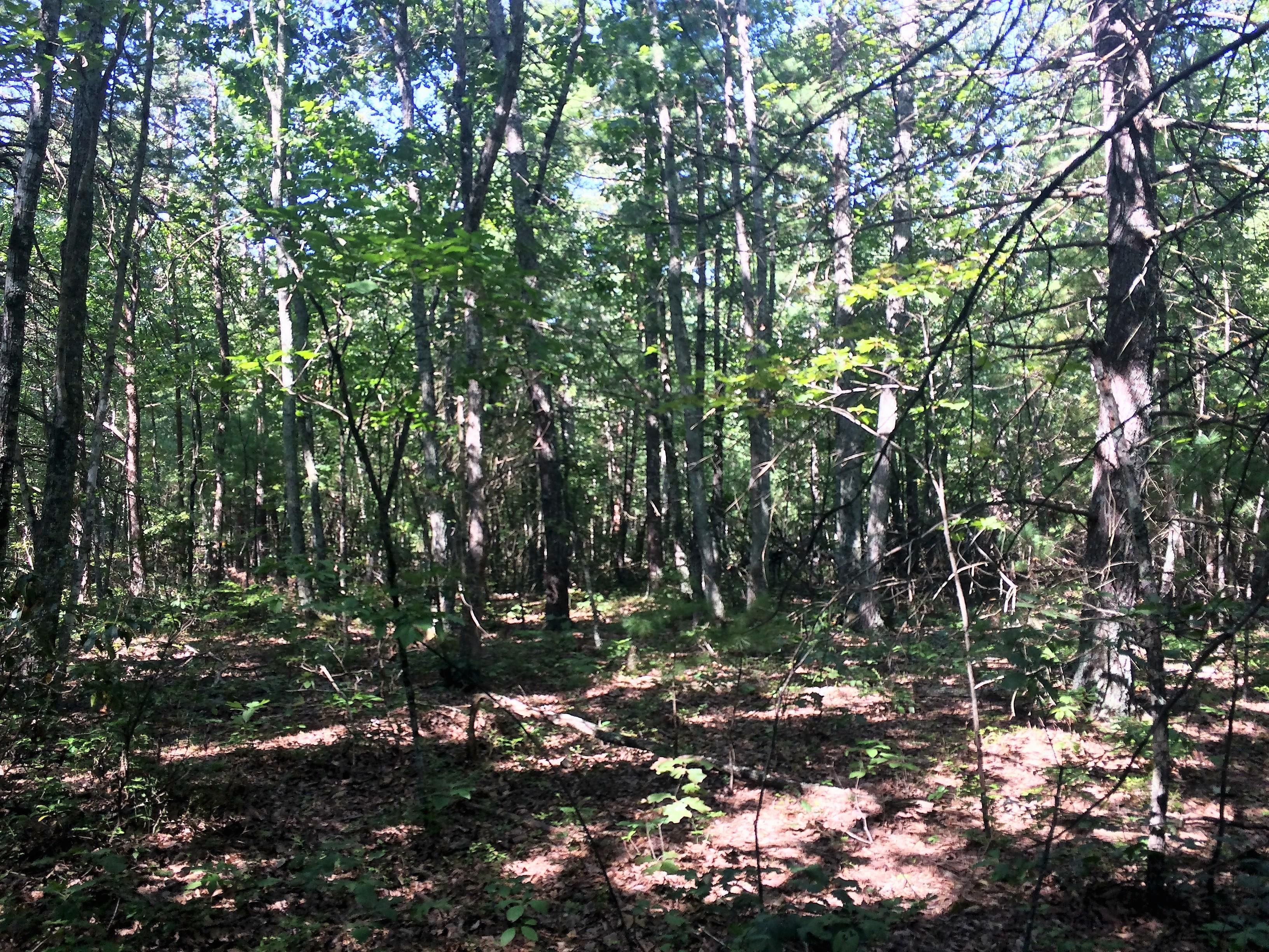 Cold Springs Road, Raphine, VA 24472 MLS 131704