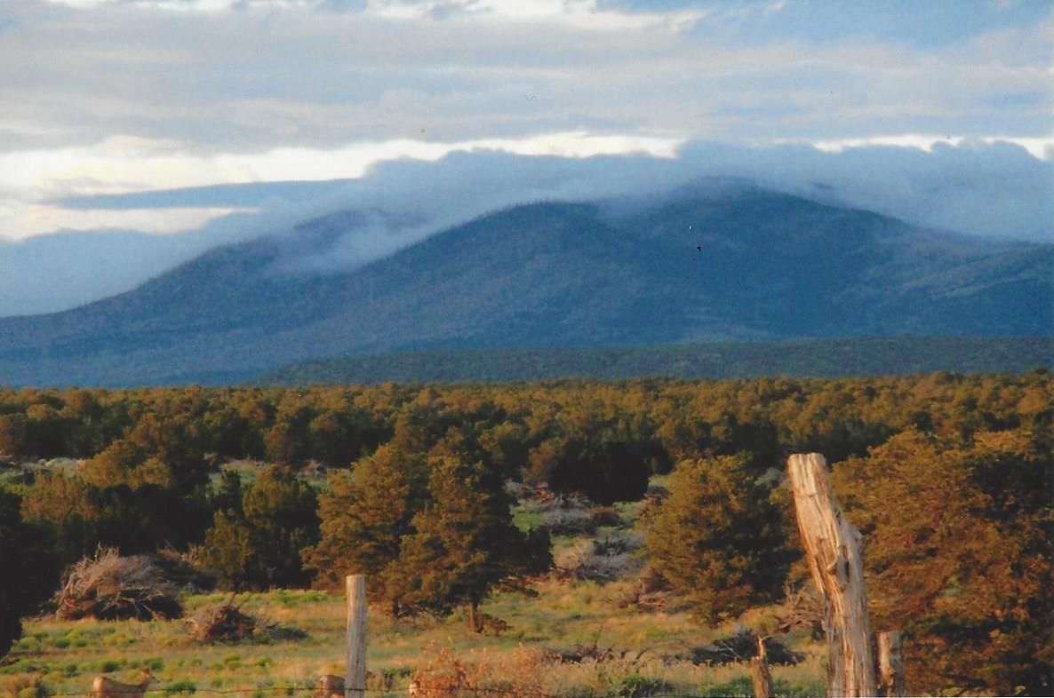 27,905 acres in Torrance County, New Mexico