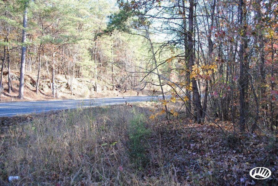 7 acres in Winston County, Alabama