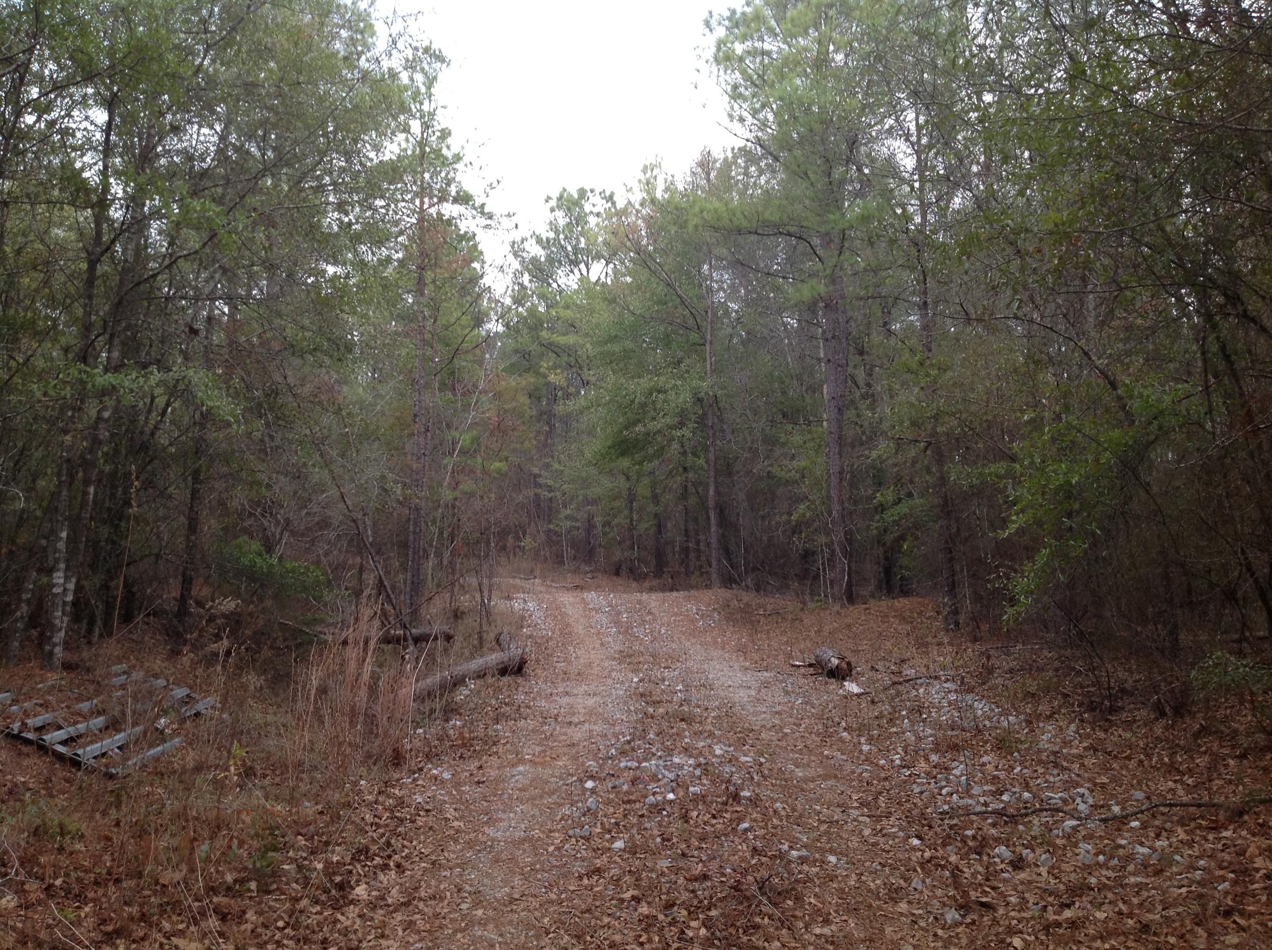 Myers Road, Moundville, AL 35474