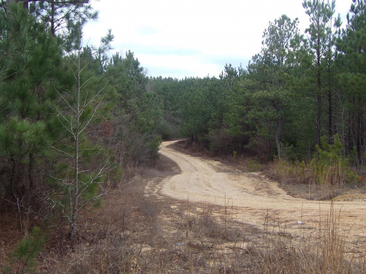125 acres in Winston County, Alabama
