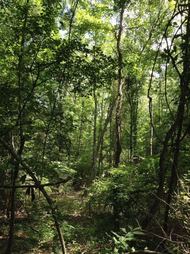 115 acres in Washington County,