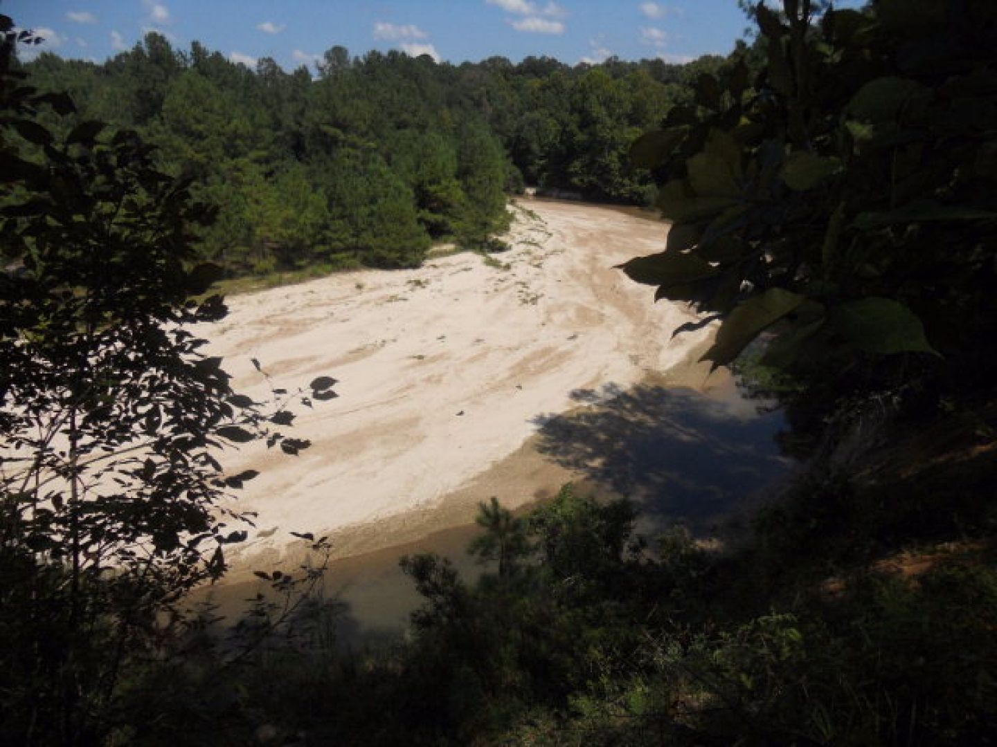 60 acres in Wilkinson County, Mississippi