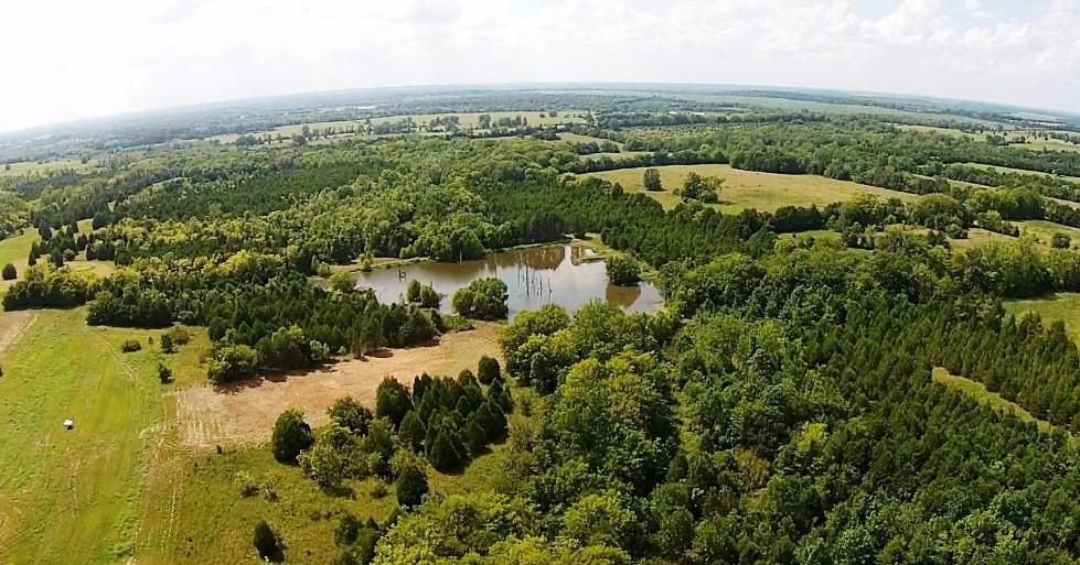 185 acres in Marengo County, Alabama