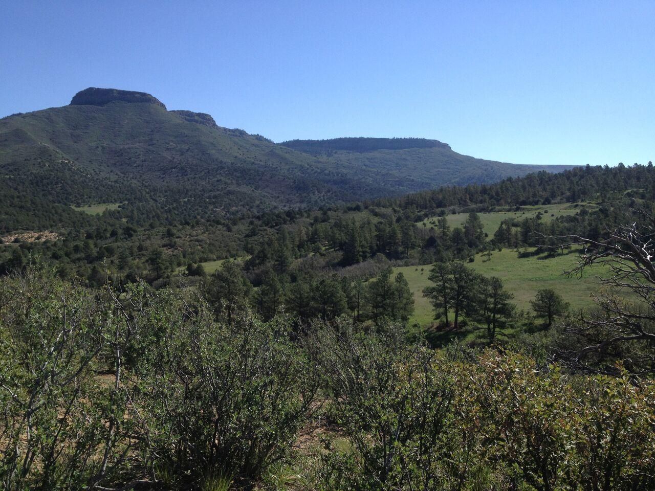 15,116 acres in Las Animas County, Colorado