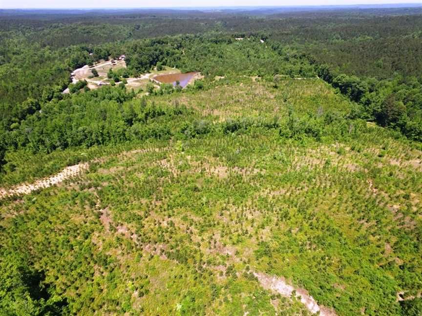 56 acres in Guin, AL, 35563