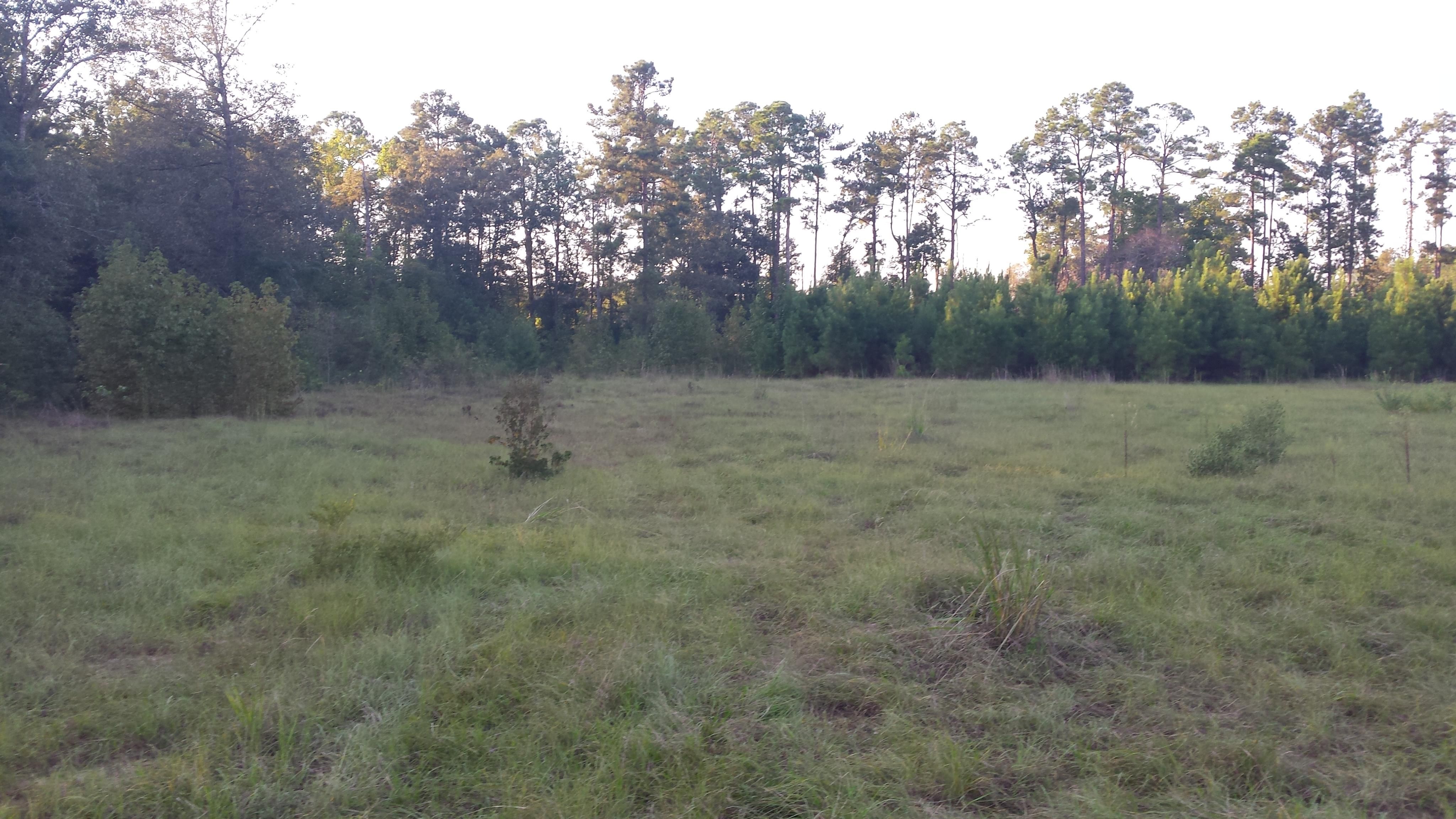 7 acres in Jenkins County,